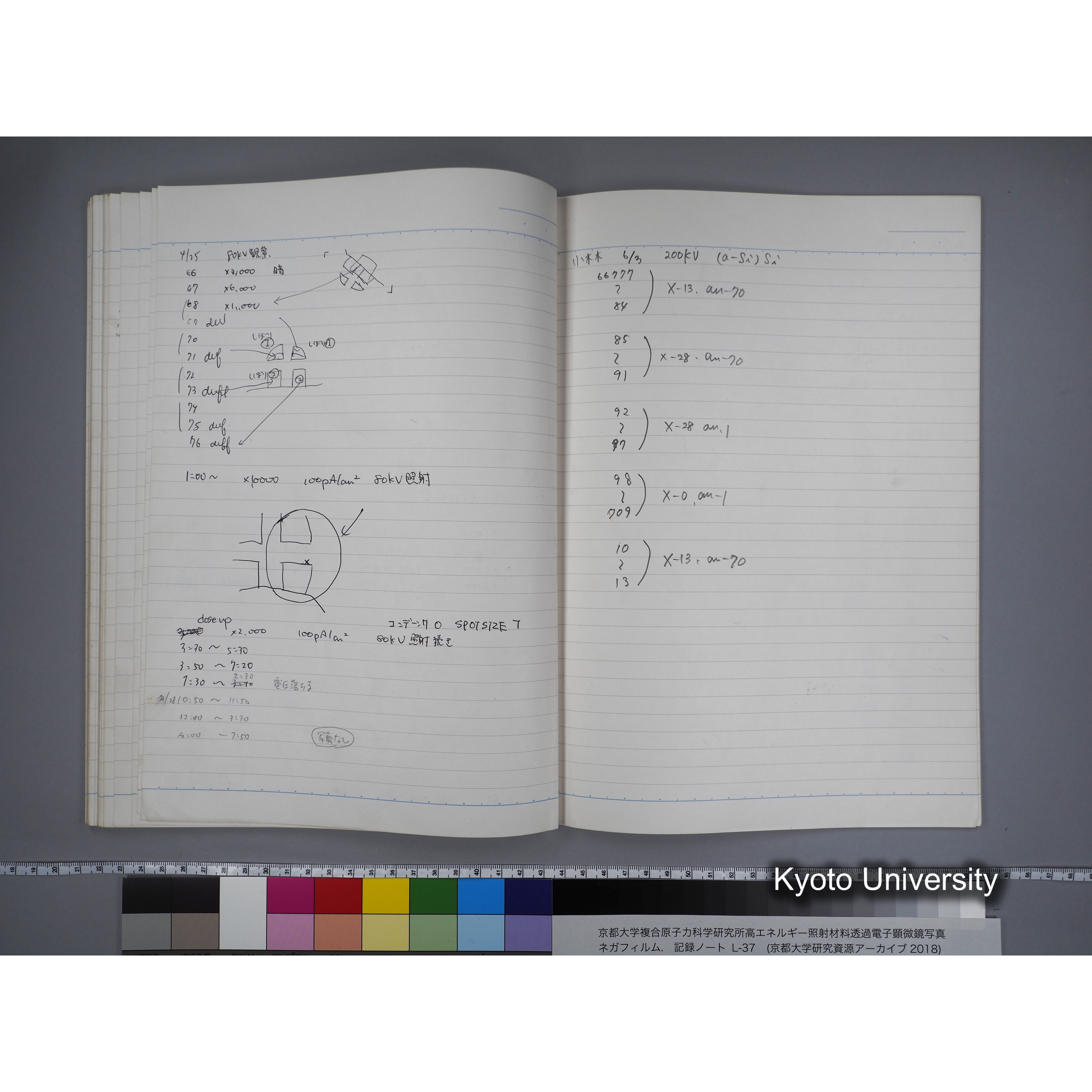 [記録ノート, Lシリーズ] L-37 7.11- 7.26 (50)