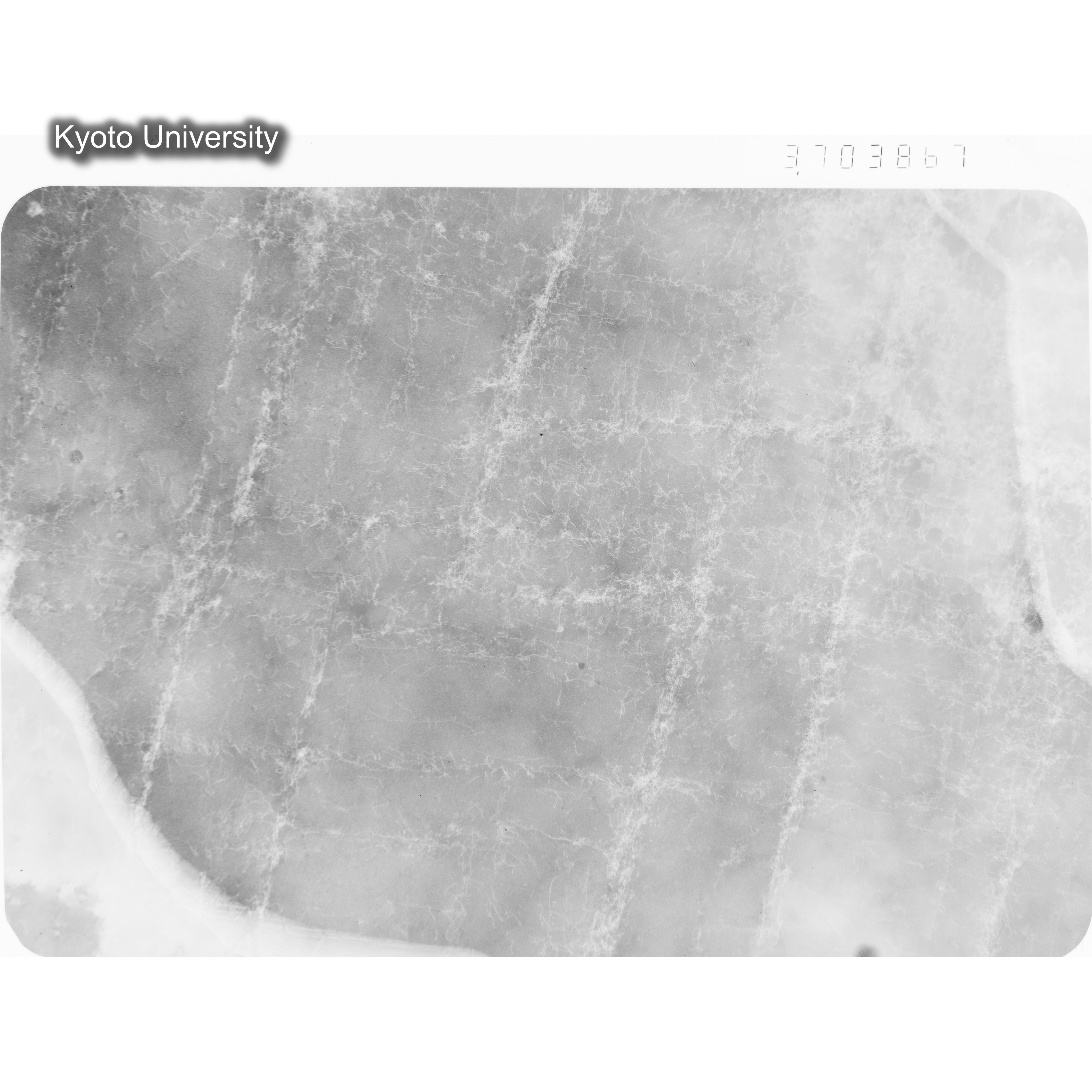 [ネガフィルム, Oシリーズ] O-3867. Ni, A3, RTNS-II　Abe, RT, SS, BF, 3.7K. (1)