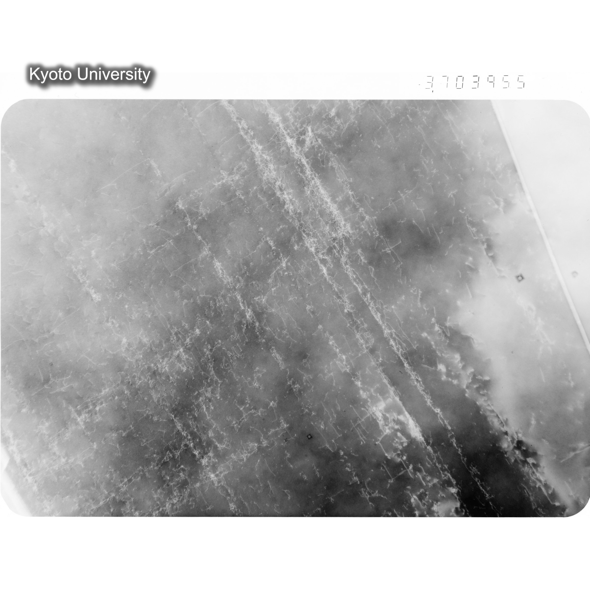 [ネガフィルム, Oシリーズ] O-3955. Ni, A6, RTNS-II　Abe, RT, S, BF, 9.7K. (1)