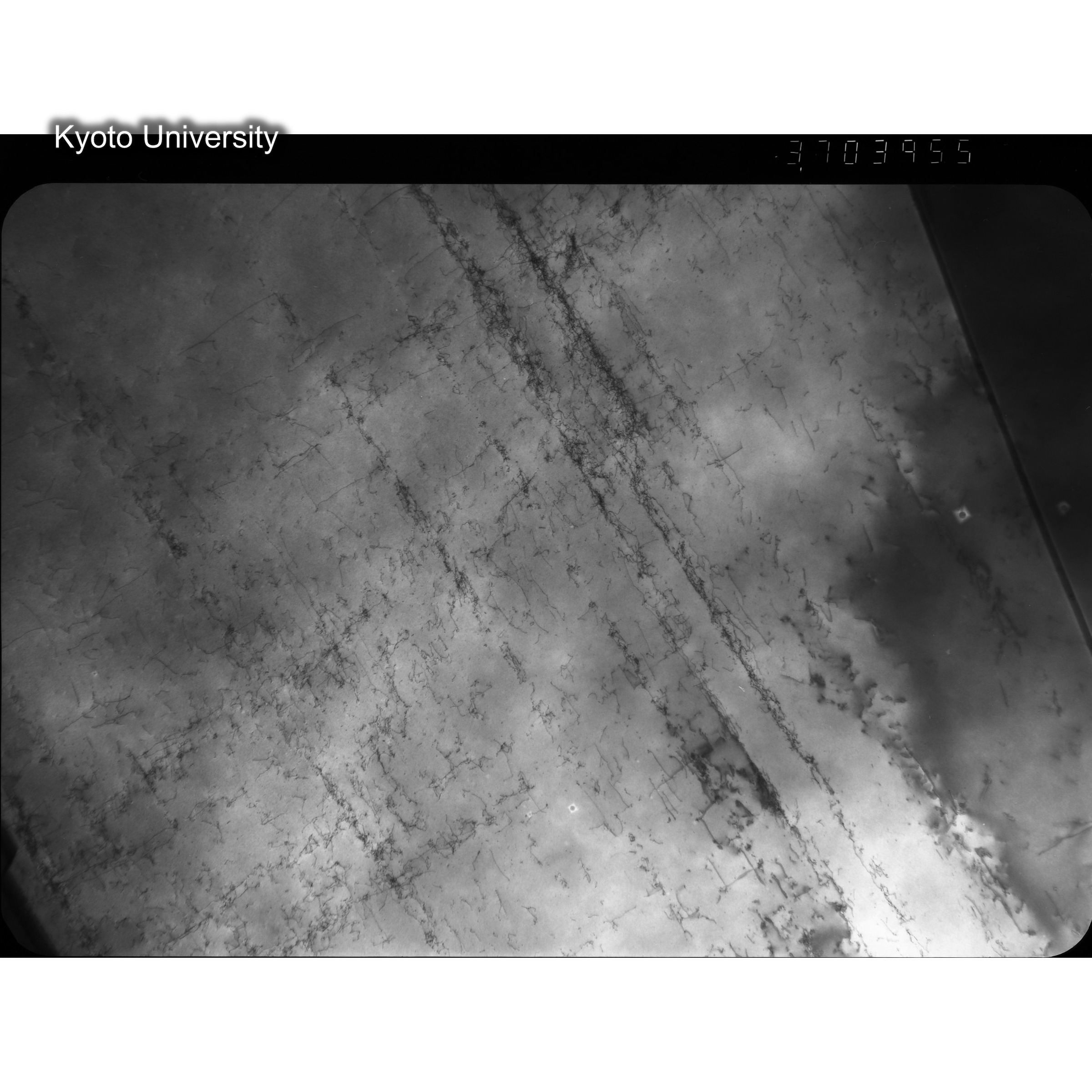 [ネガフィルム, Oシリーズ] O-3955. Ni, A6, RTNS-II　Abe, RT, S, BF, 9.7K. (2)