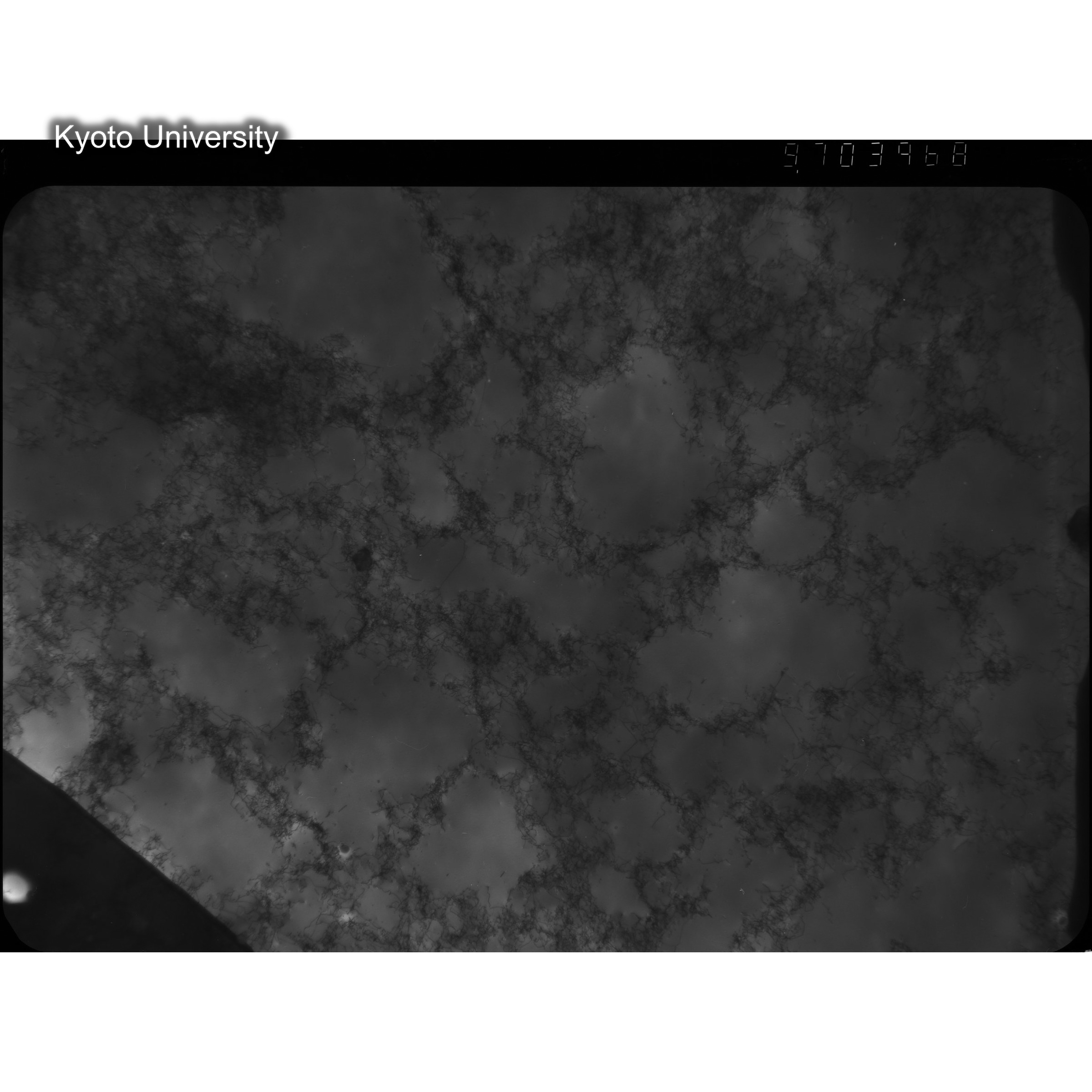 [ネガフィルム, Oシリーズ] O-3968. Ni, A20, RTNS-II　Abe, RT, WW, BF, 9.7K. (2)