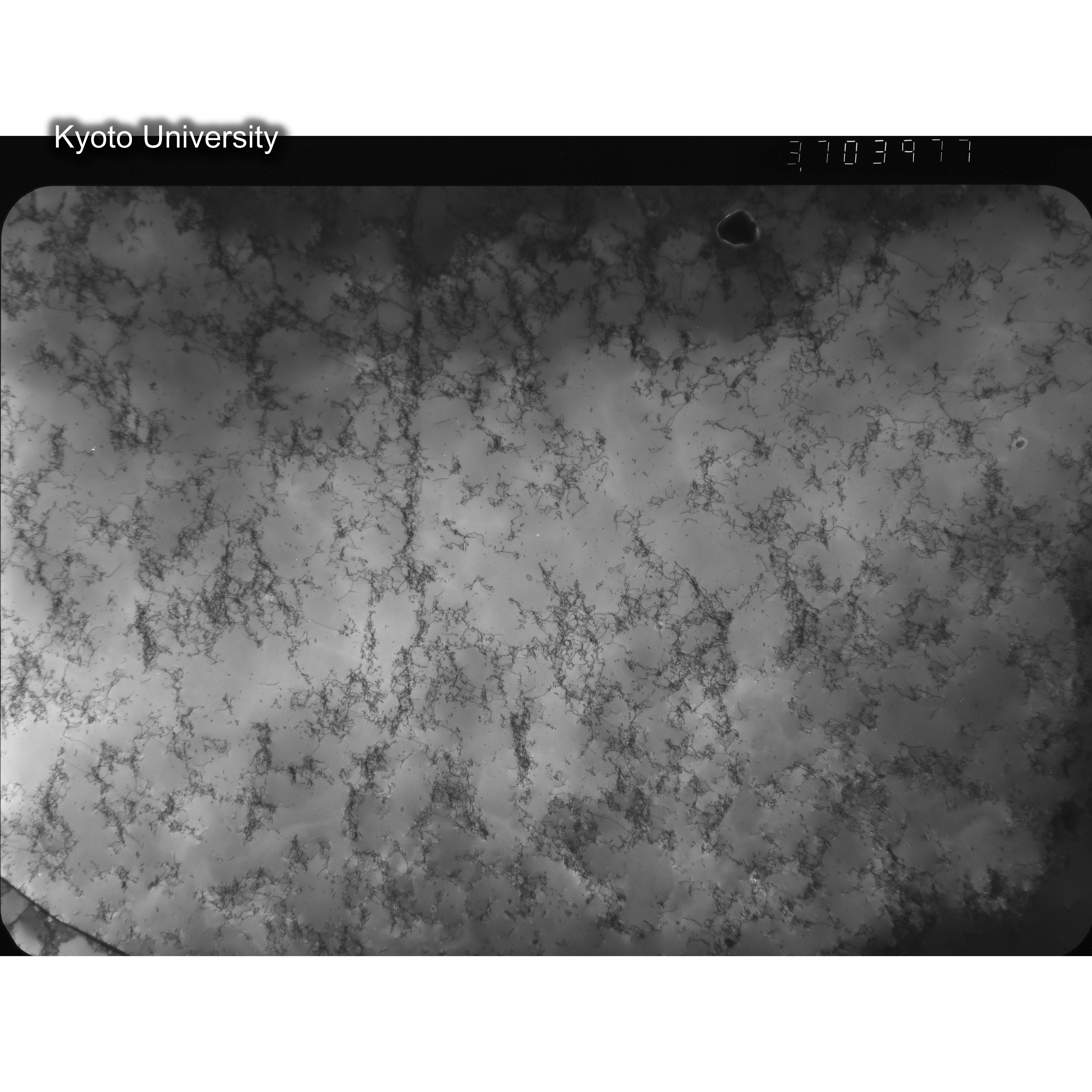 [ネガフィルム, Oシリーズ] O-3977. Ni, A16, RTNS-II　Abe, RT, W, BF, 3.7K. (2)