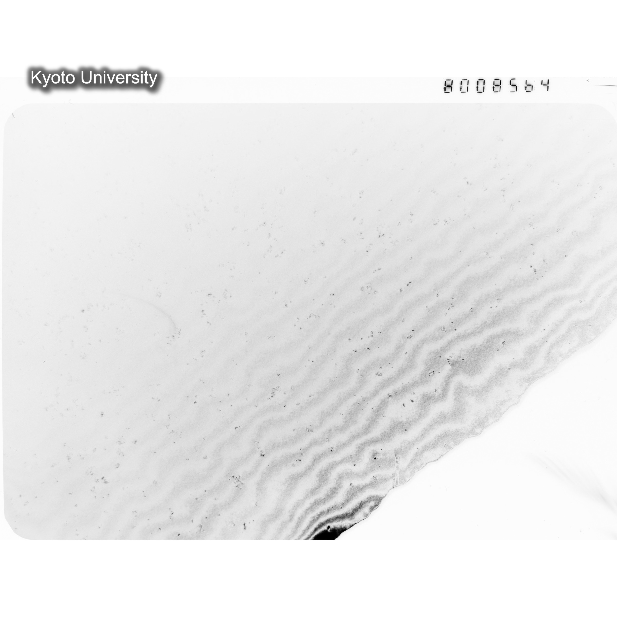 [ネガフィルム, Oシリーズ] O-8564. Au, J784松井, RTNS-II, 77K->RT, S, DF. (1)