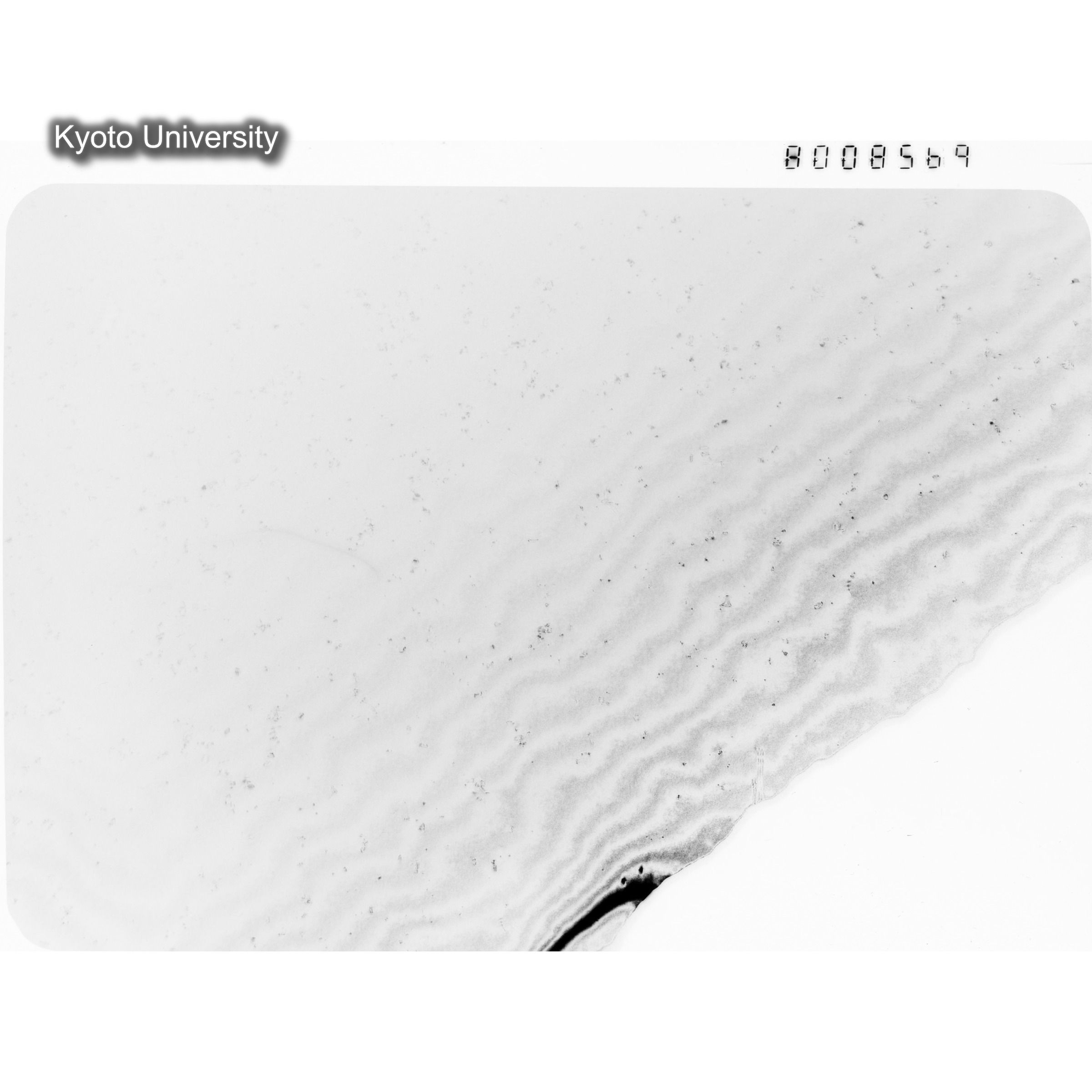 [ネガフィルム, Oシリーズ] O-8569. Au, J784松井, RTNS-II, S, DF. (1)