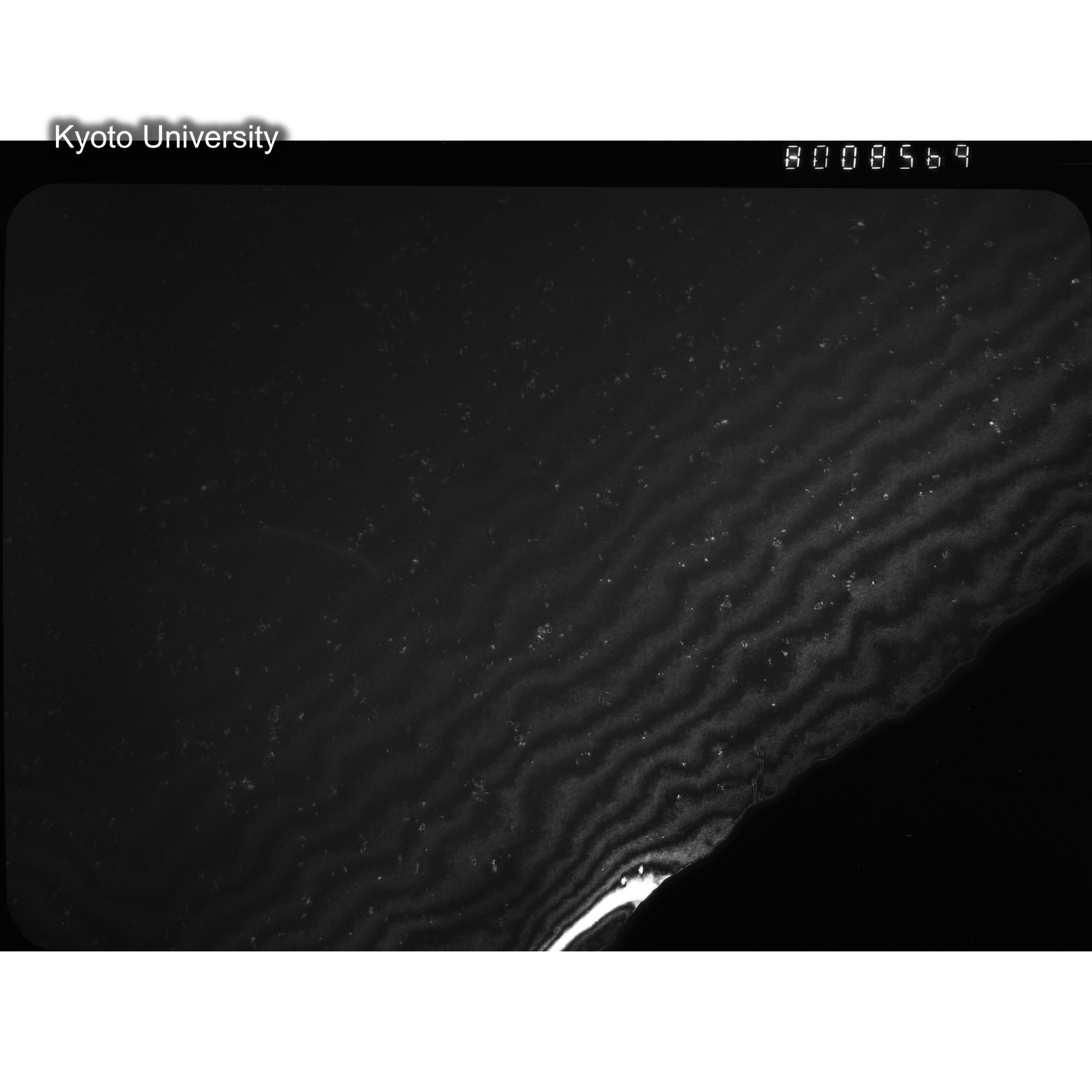 [ネガフィルム, Oシリーズ] O-8569. Au, J784松井, RTNS-II, S, DF. (2)