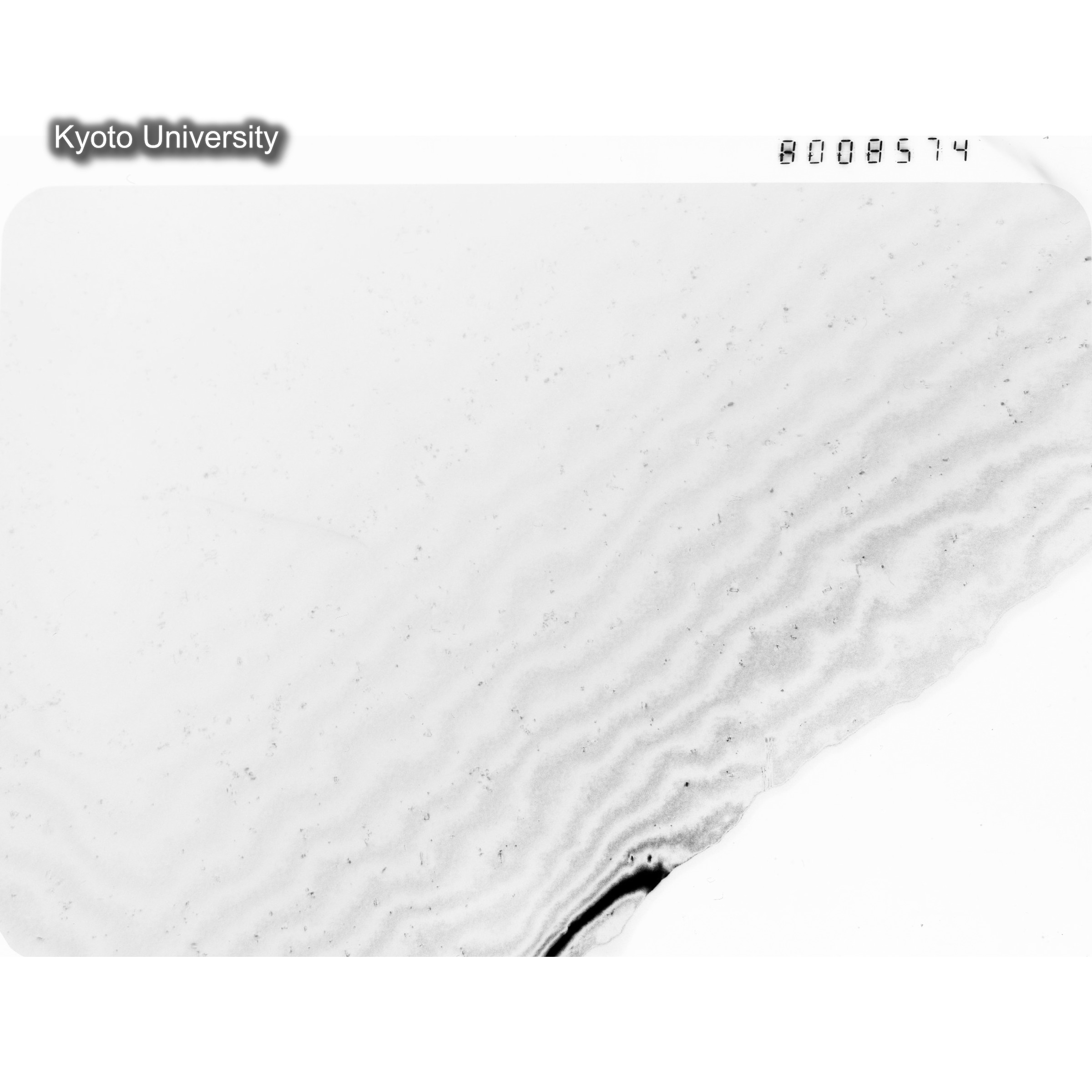 [ネガフィルム, Oシリーズ] O-8574. Au, J784松井, RTNS-II, S, DF. (1)