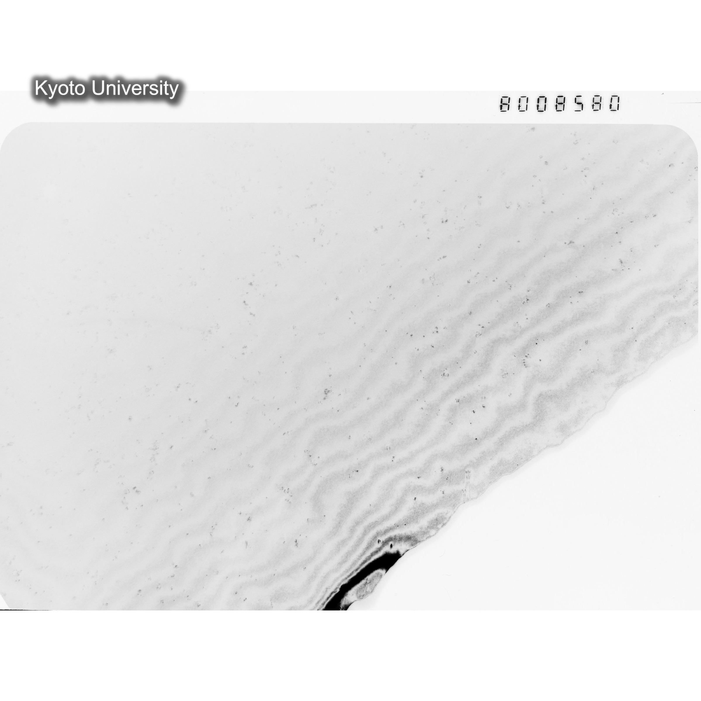 [ネガフィルム, Oシリーズ] O-8580. Au, J784松井, RTNS-II, S, DF. (1)