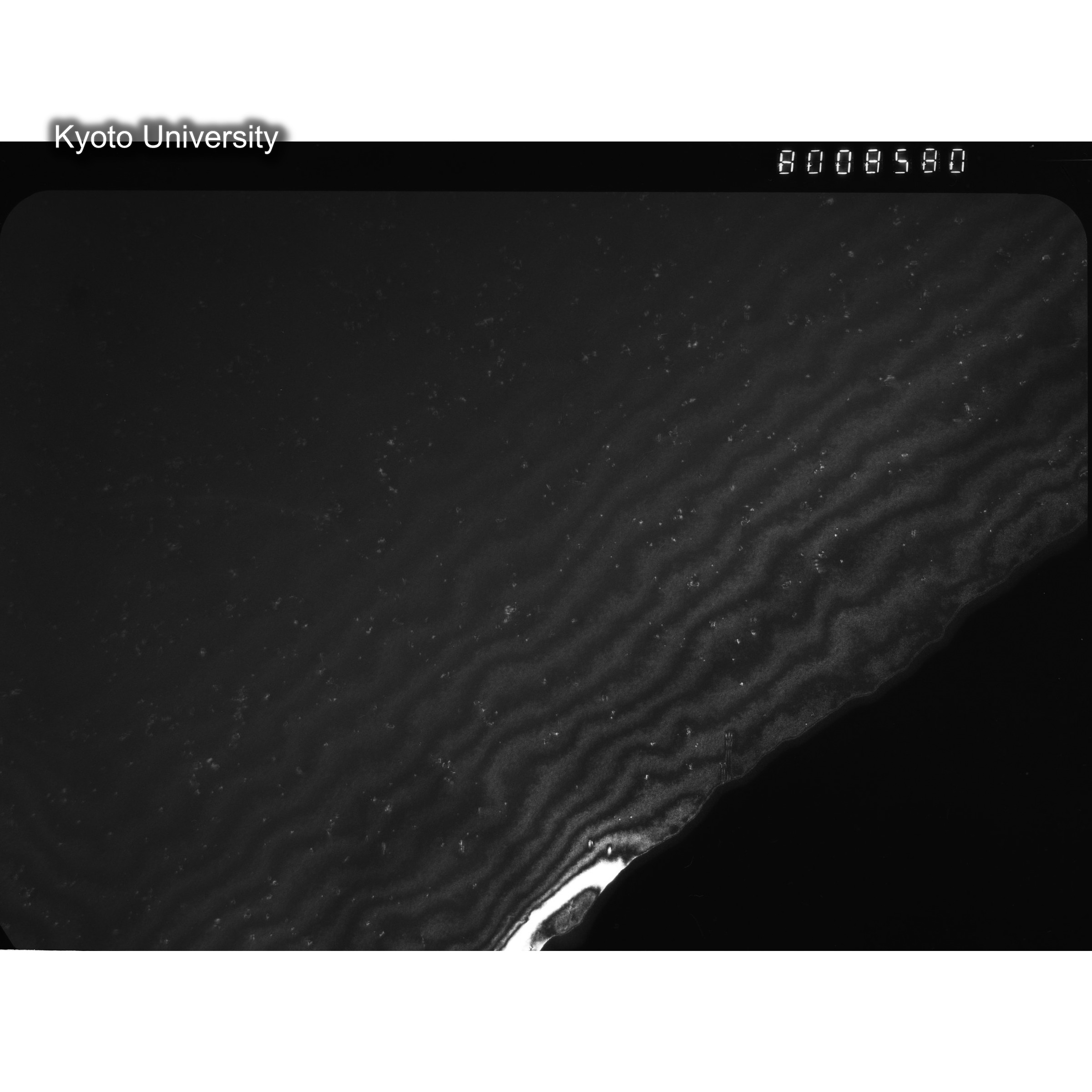 [ネガフィルム, Oシリーズ] O-8580. Au, J784松井, RTNS-II, S, DF. (2)