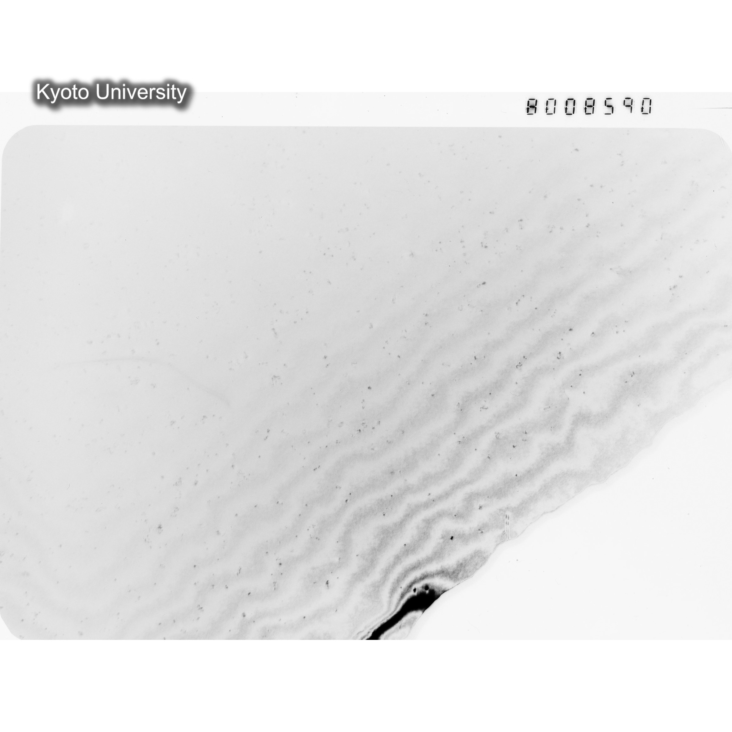 [ネガフィルム, Oシリーズ] O-8590. Au, J784松井, RTNS-II, S, DF. (1)