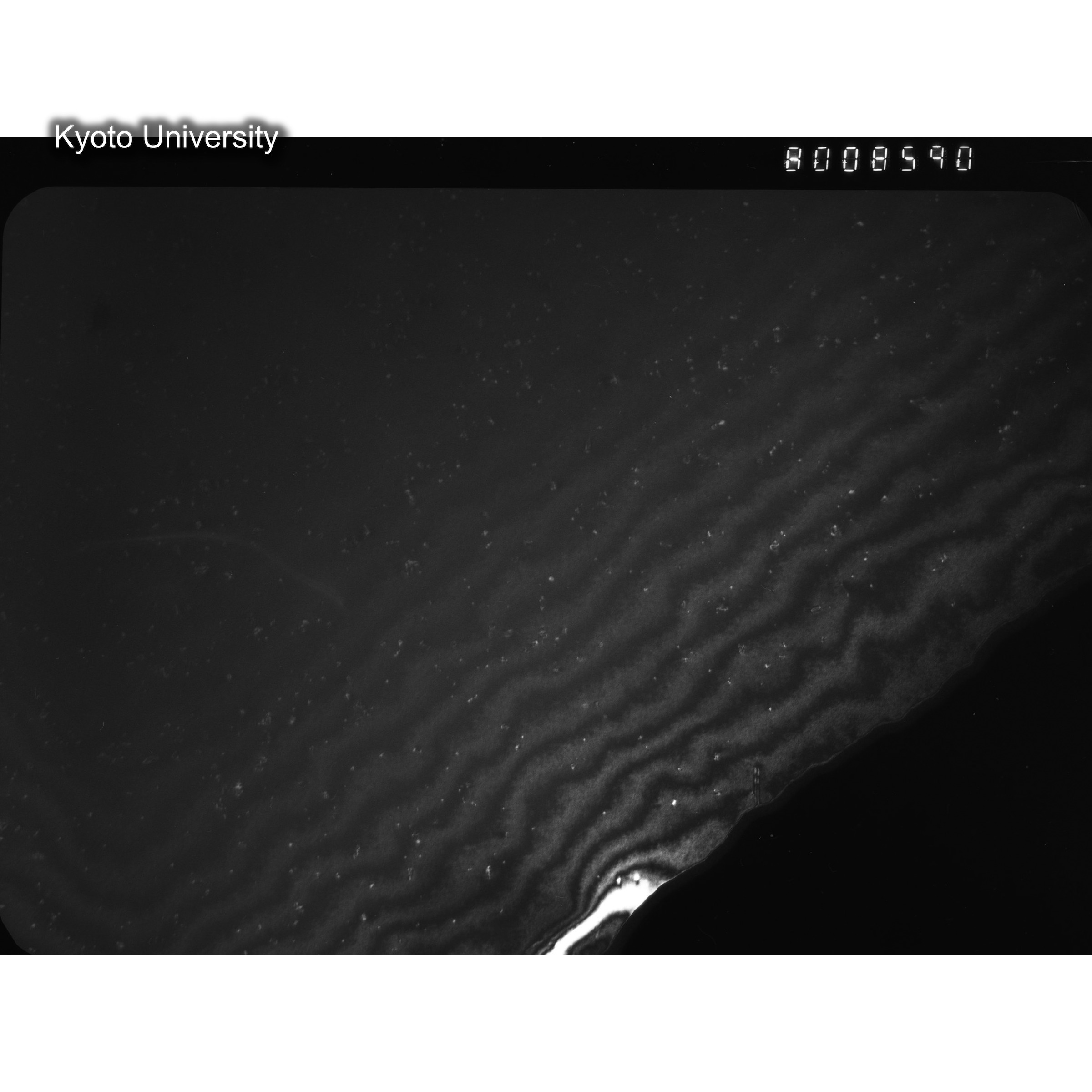 [ネガフィルム, Oシリーズ] O-8590. Au, J784松井, RTNS-II, S, DF. (2)