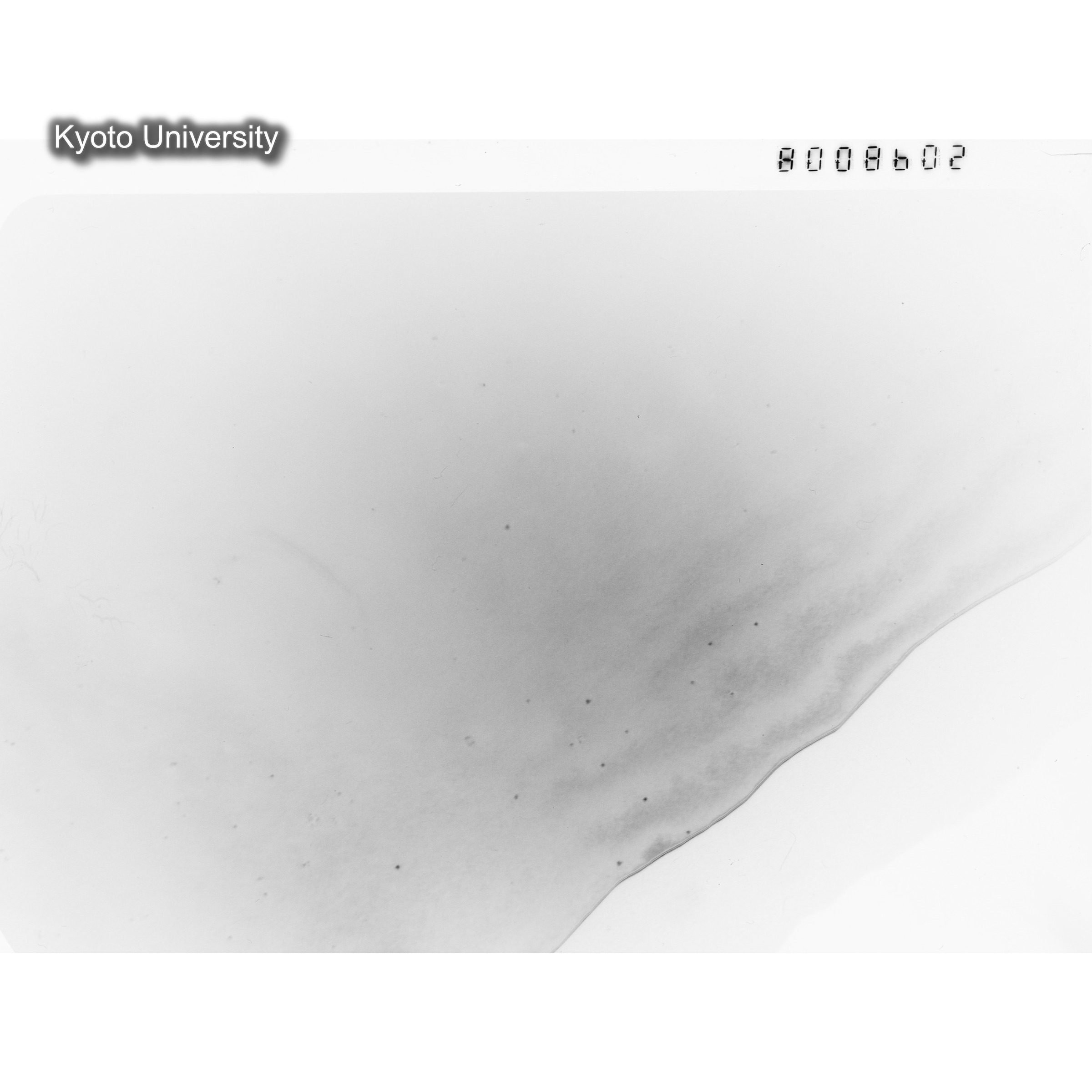 [ネガフィルム, Oシリーズ] O-8602. Au, J784松井, RTNS-II, S, DF. (1)