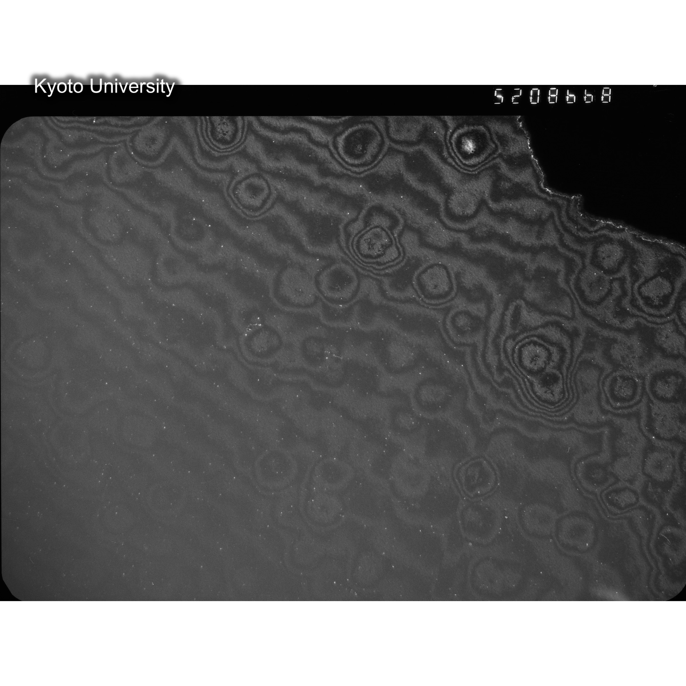 [ネガフィルム, Oシリーズ] O-8668. Ni, A726木下, RTNS-II, M, DF. (2)