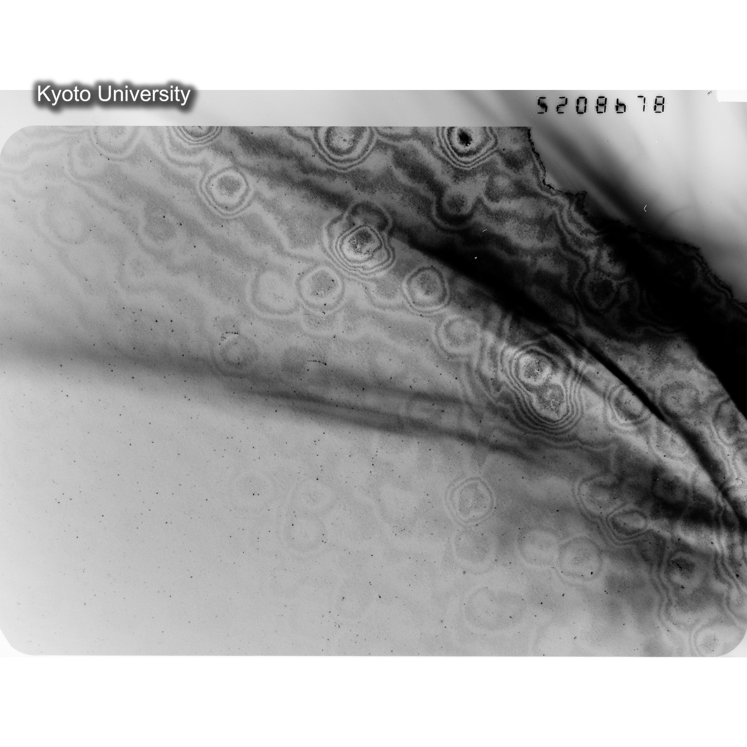 [ネガフィルム, Oシリーズ] O-8678. Ni, A726木下, RTNS-II, M, DF. (1)