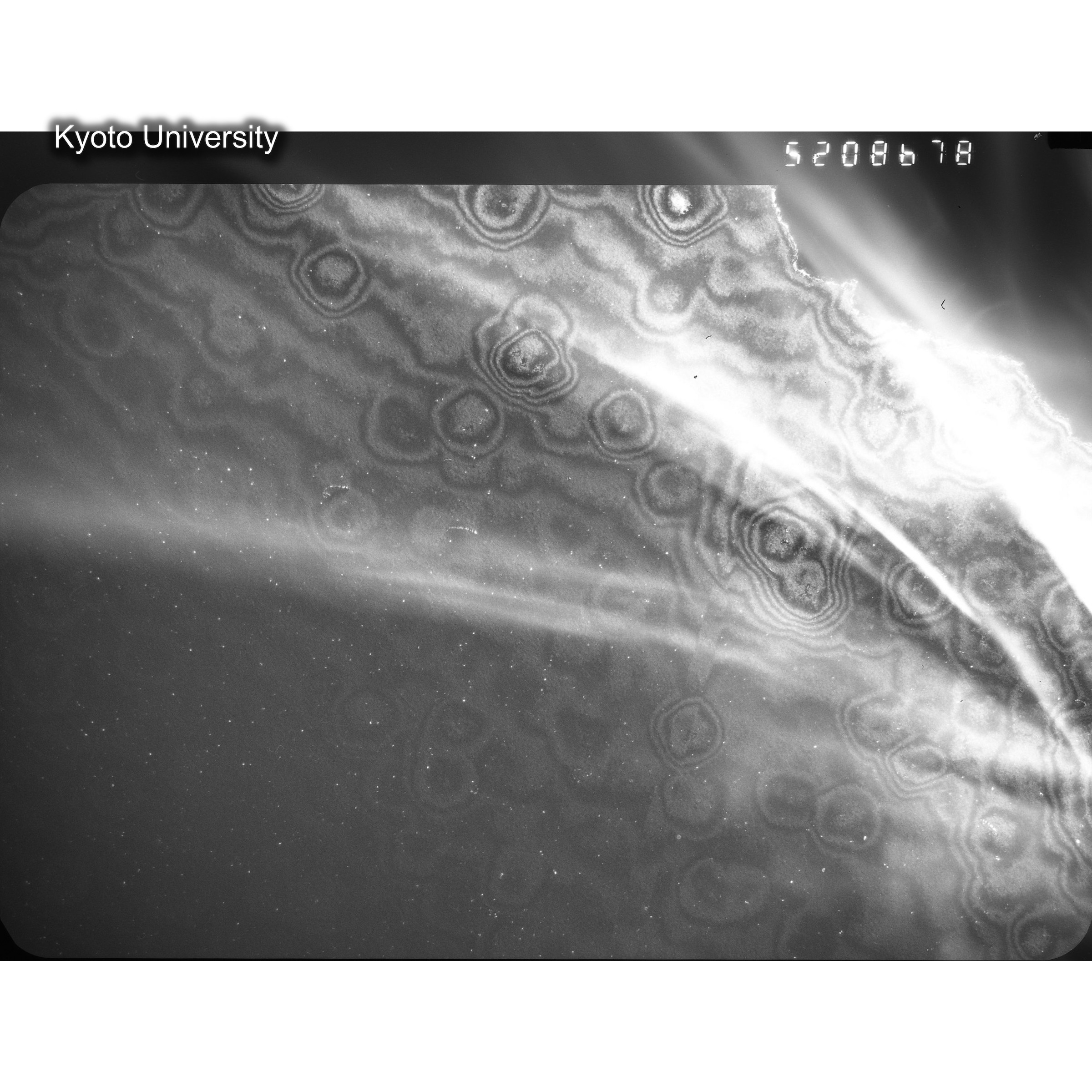 [ネガフィルム, Oシリーズ] O-8678. Ni, A726木下, RTNS-II, M, DF. (2)