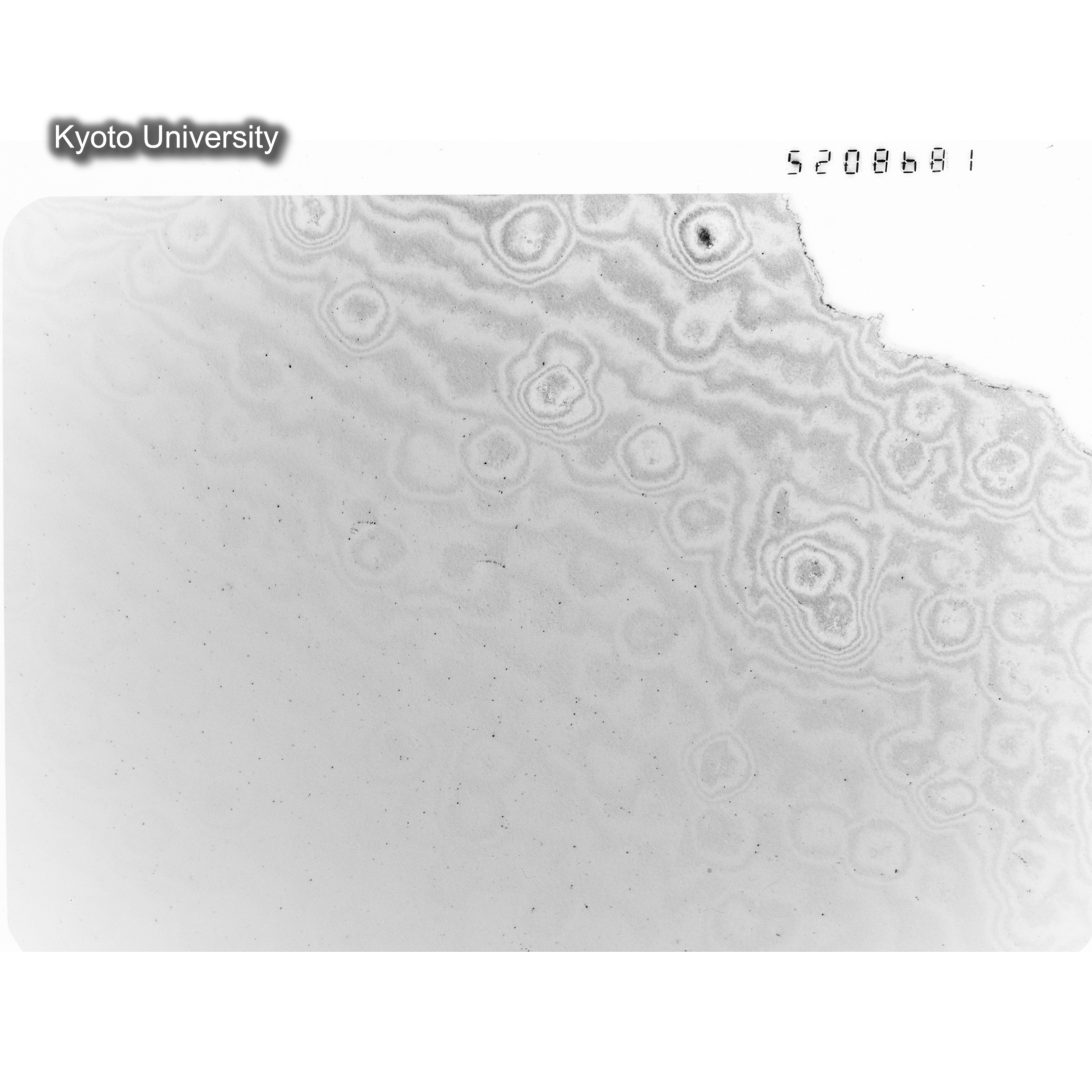 [ネガフィルム, Oシリーズ] O-8681. Ni, A726木下, RTNS-II, M, DF. (1)