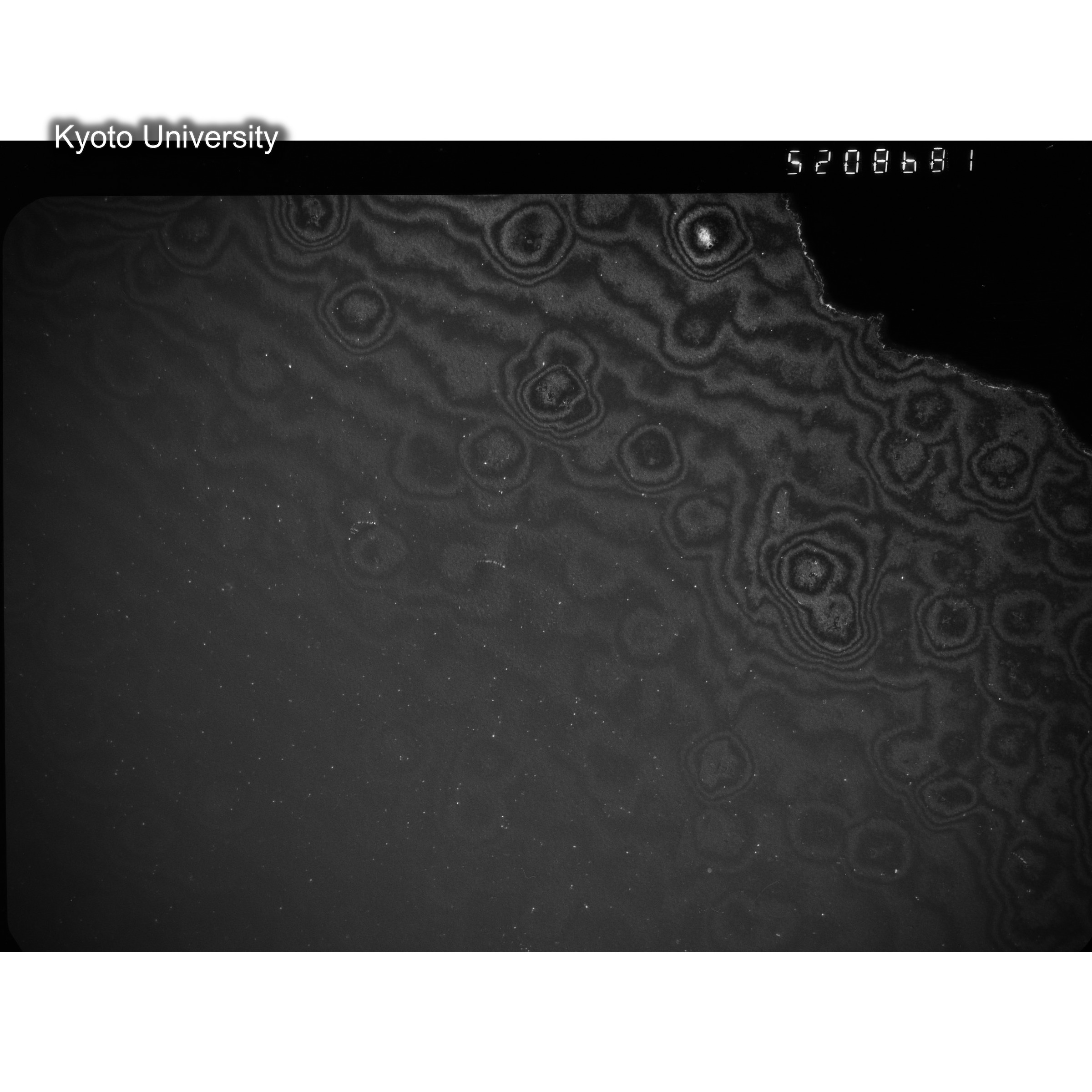 [ネガフィルム, Oシリーズ] O-8681. Ni, A726木下, RTNS-II, M, DF. (2)