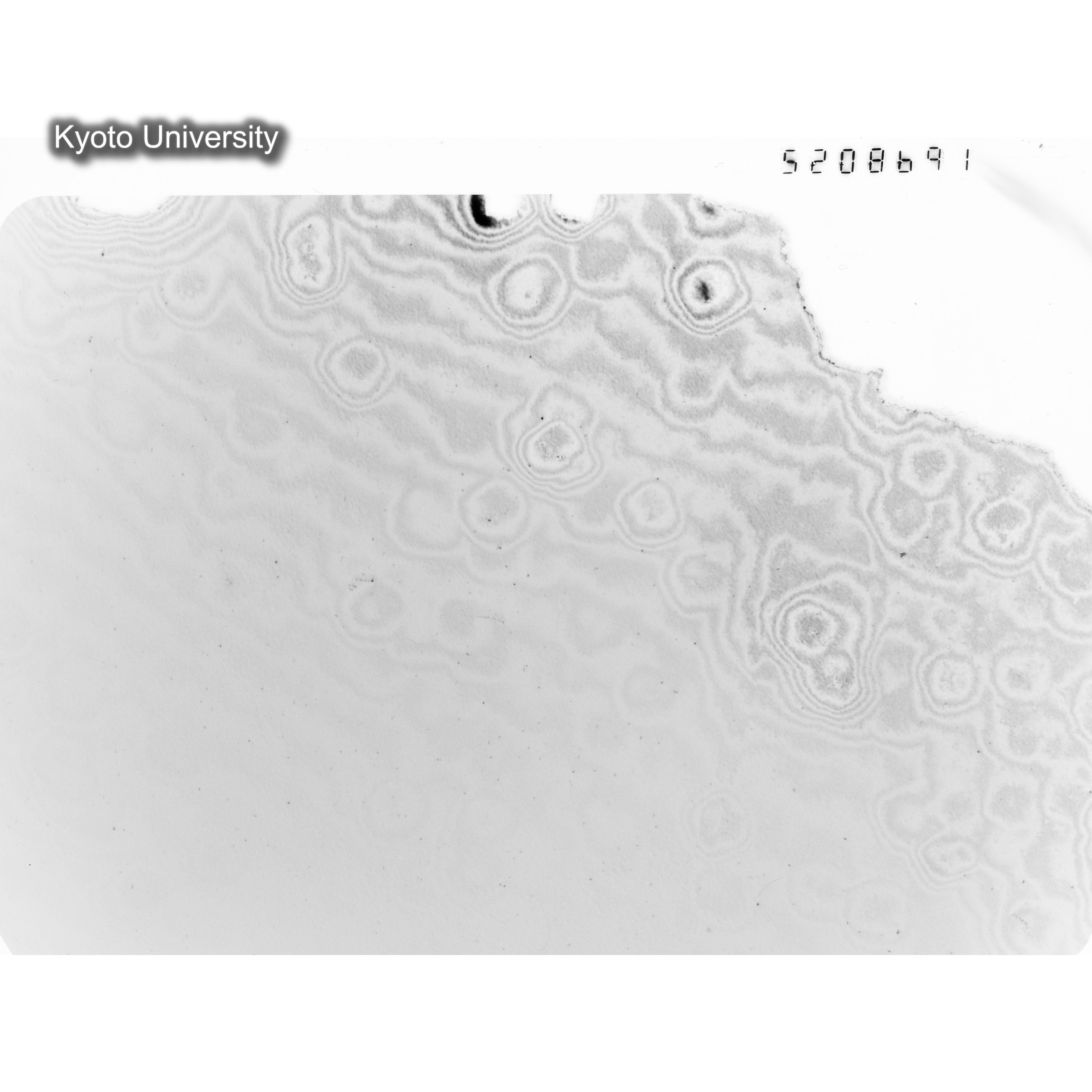 [ネガフィルム, Oシリーズ] O-8691. Ni, A726木下, RTNS-II, M, DF. (1)