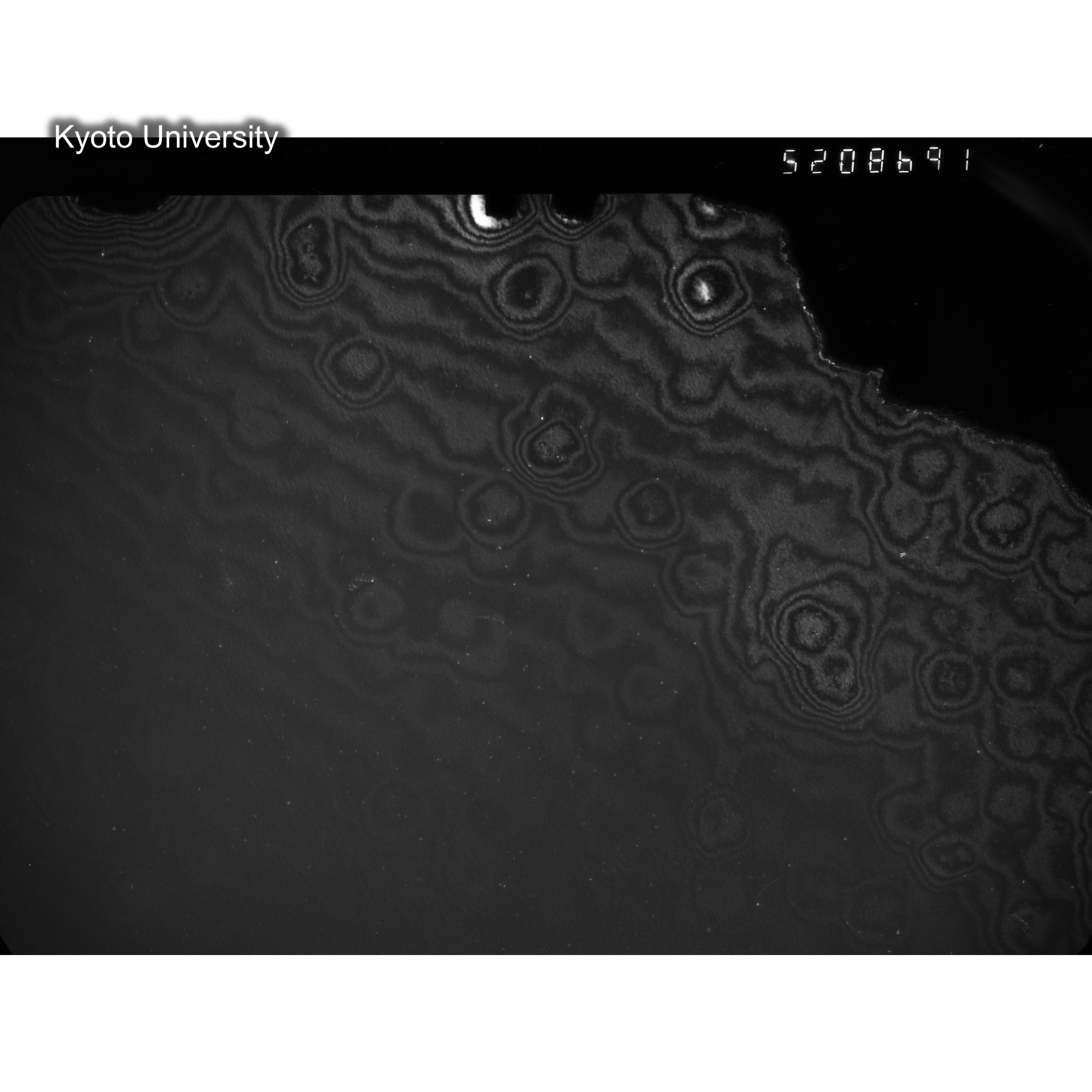 [ネガフィルム, Oシリーズ] O-8691. Ni, A726木下, RTNS-II, M, DF. (2)