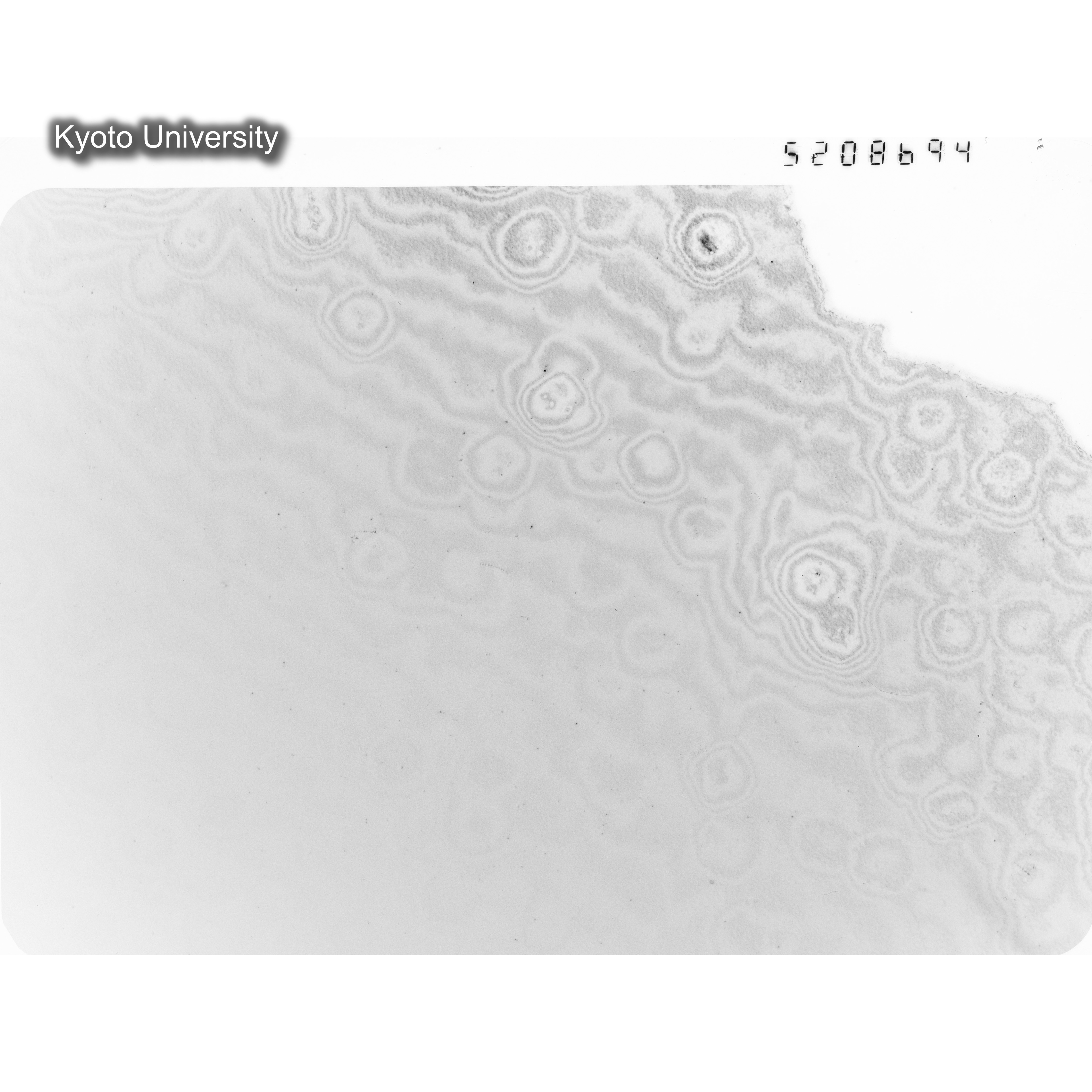 [ネガフィルム, Oシリーズ] O-8694. Ni, A726木下, RTNS-II, M, DF. (1)