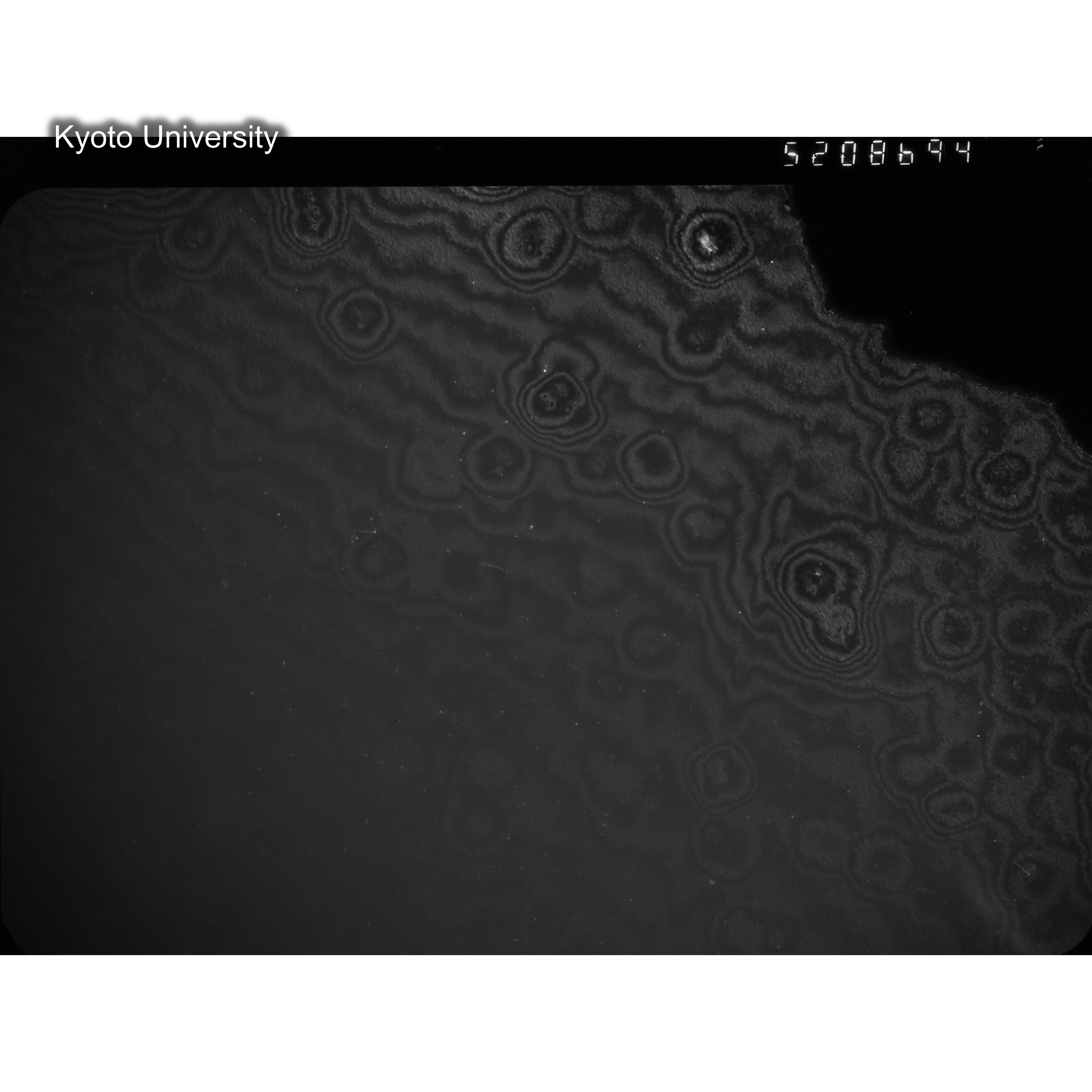 [ネガフィルム, Oシリーズ] O-8694. Ni, A726木下, RTNS-II, M, DF. (2)