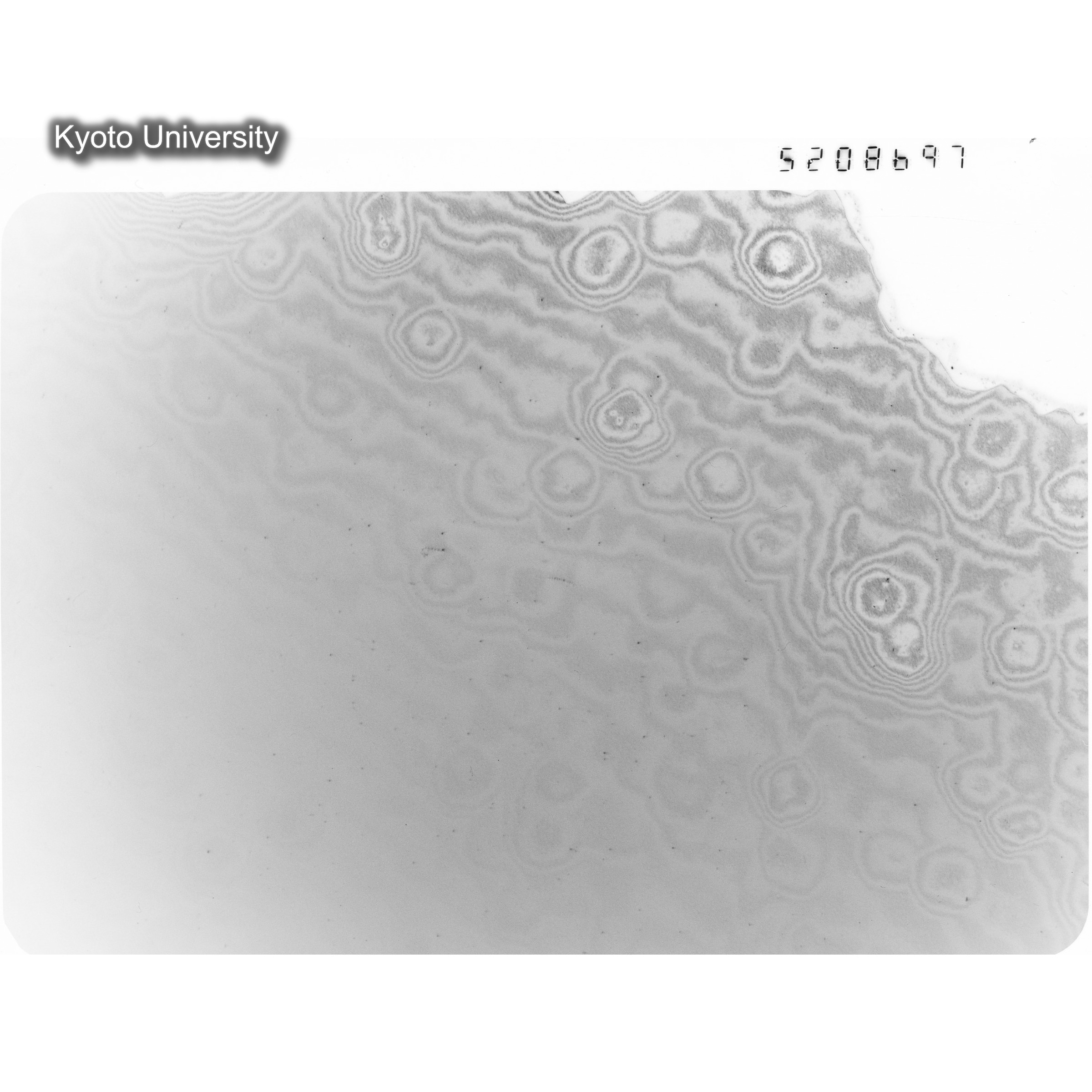 [ネガフィルム, Oシリーズ] O-8697. Ni, A726木下, RTNS-II, M, DF. (1)