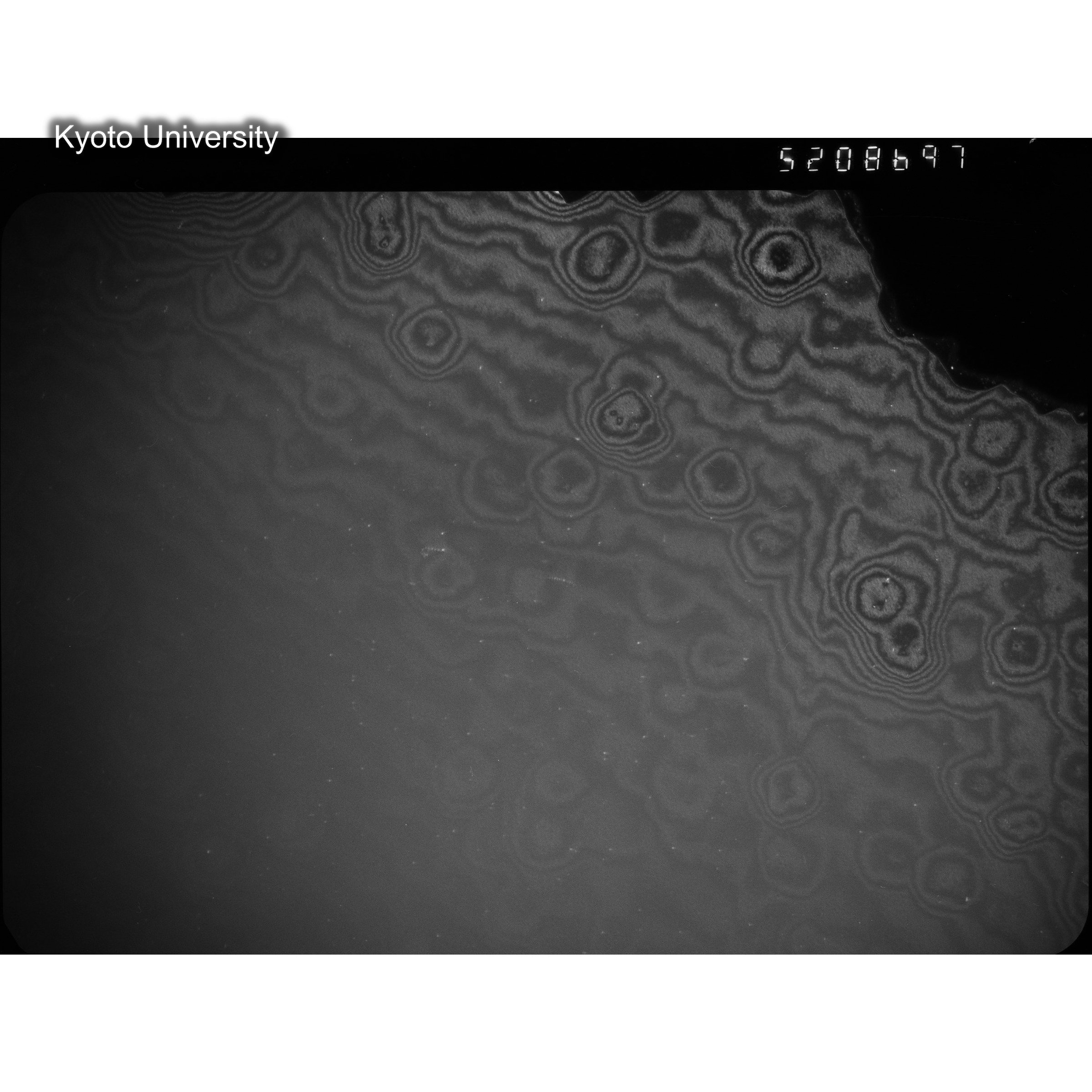 [ネガフィルム, Oシリーズ] O-8697. Ni, A726木下, RTNS-II, M, DF. (2)