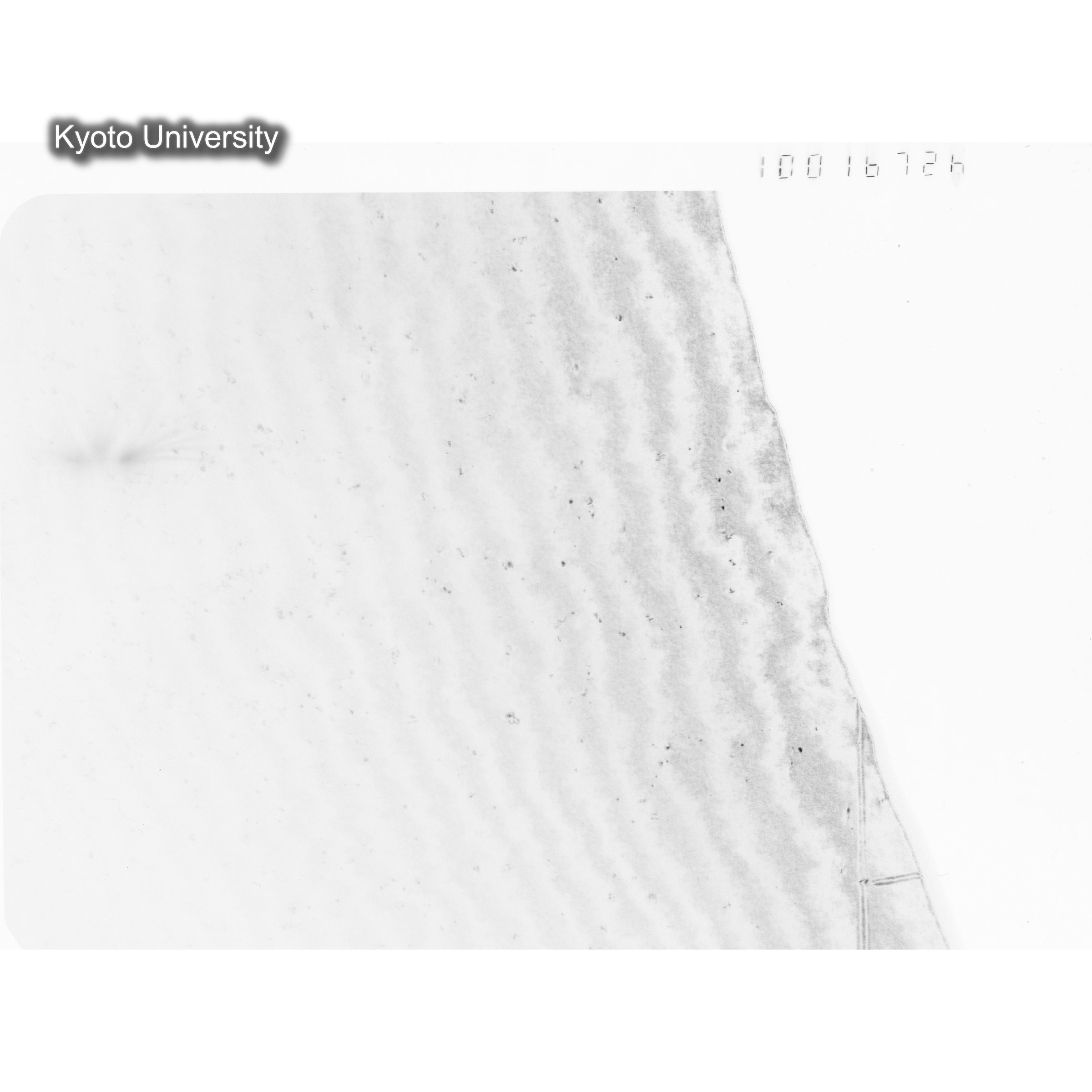 [ネガフィルム, Oシリーズ] O-16726. Au, Kuramoto, RTNS-II, 60℃, SS. (1)