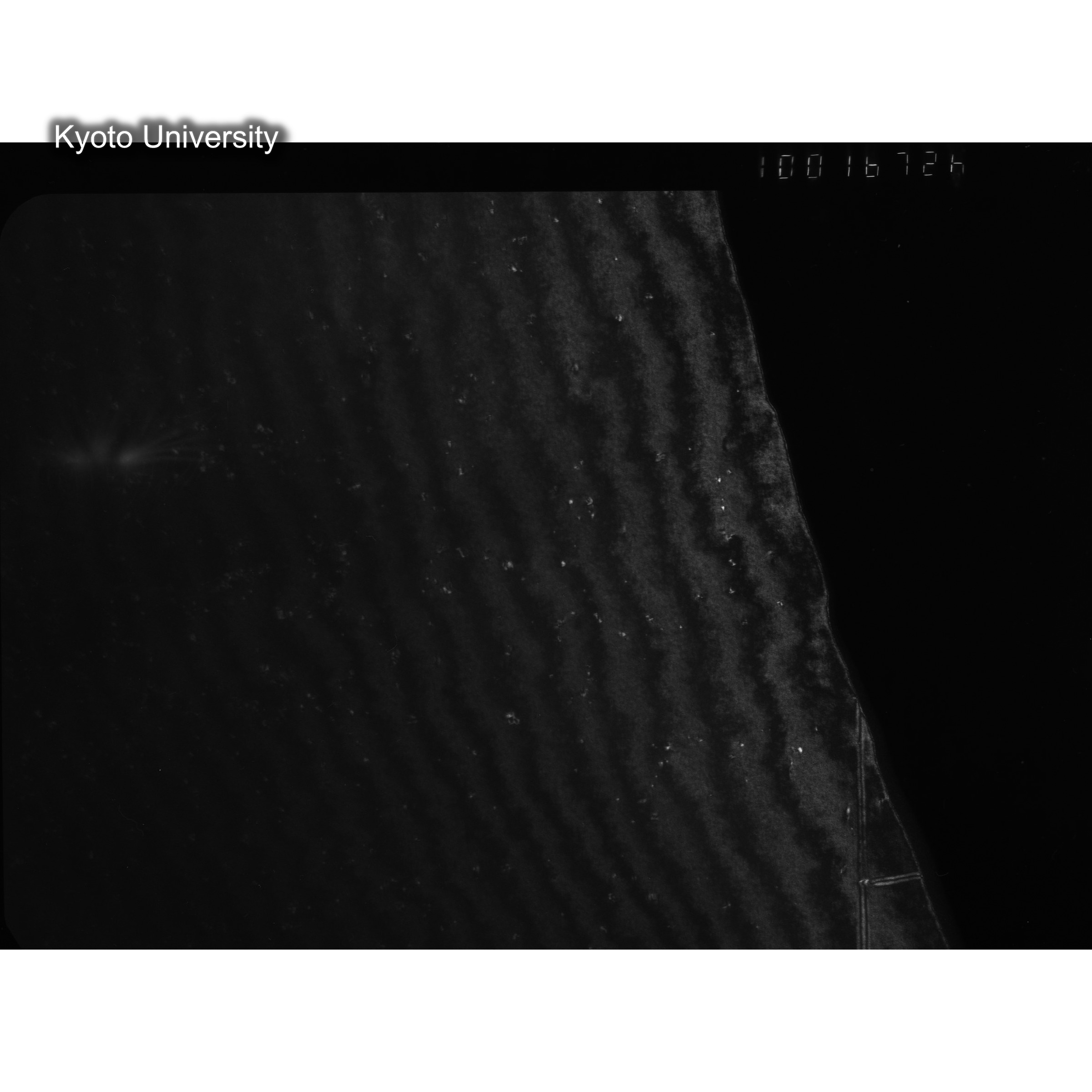 [ネガフィルム, Oシリーズ] O-16726. Au, Kuramoto, RTNS-II, 60℃, SS. (2)