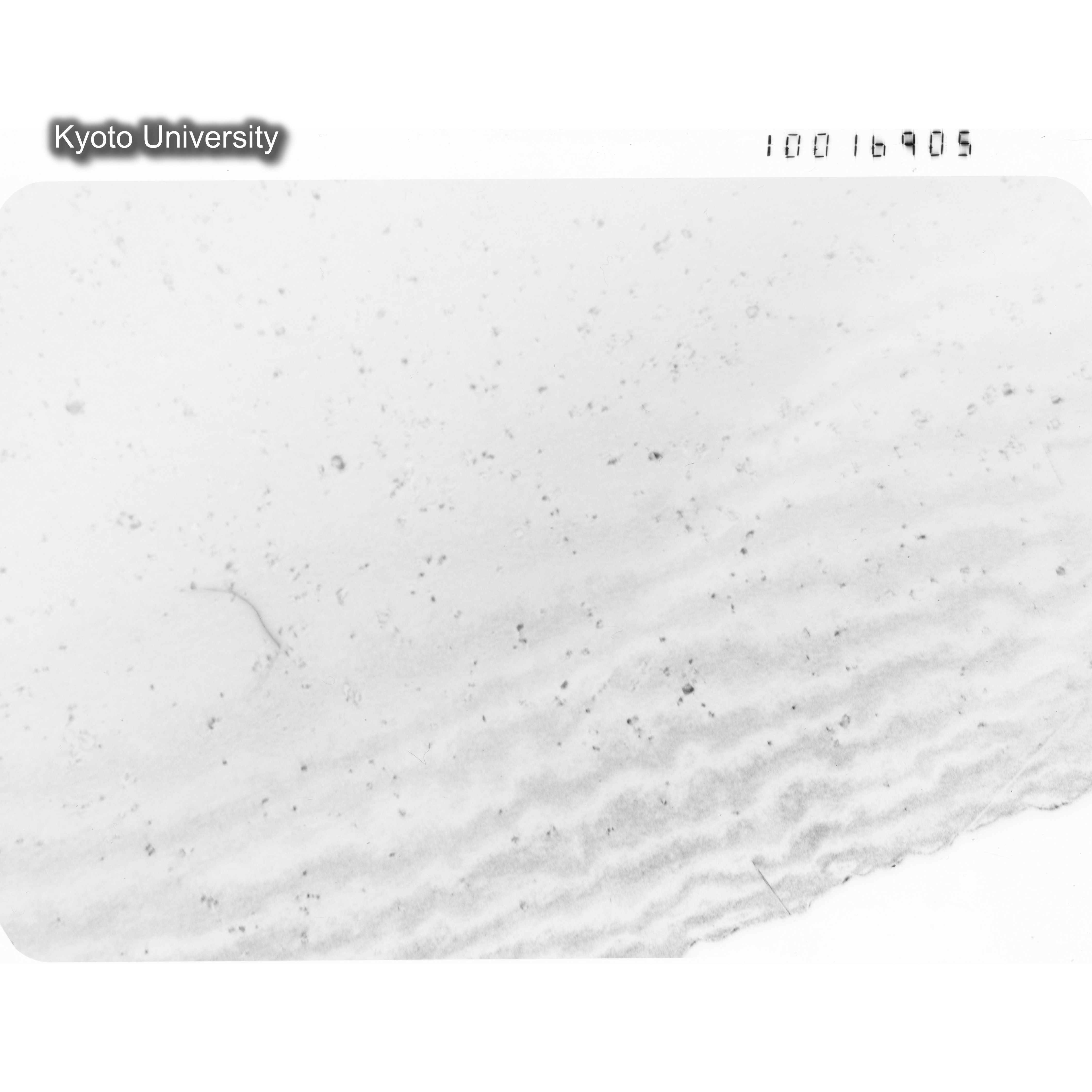 [ネガフィルム, Oシリーズ] O-16905. Au, G57 Kuramoto, RTNS-II, 150℃, SS. (1)