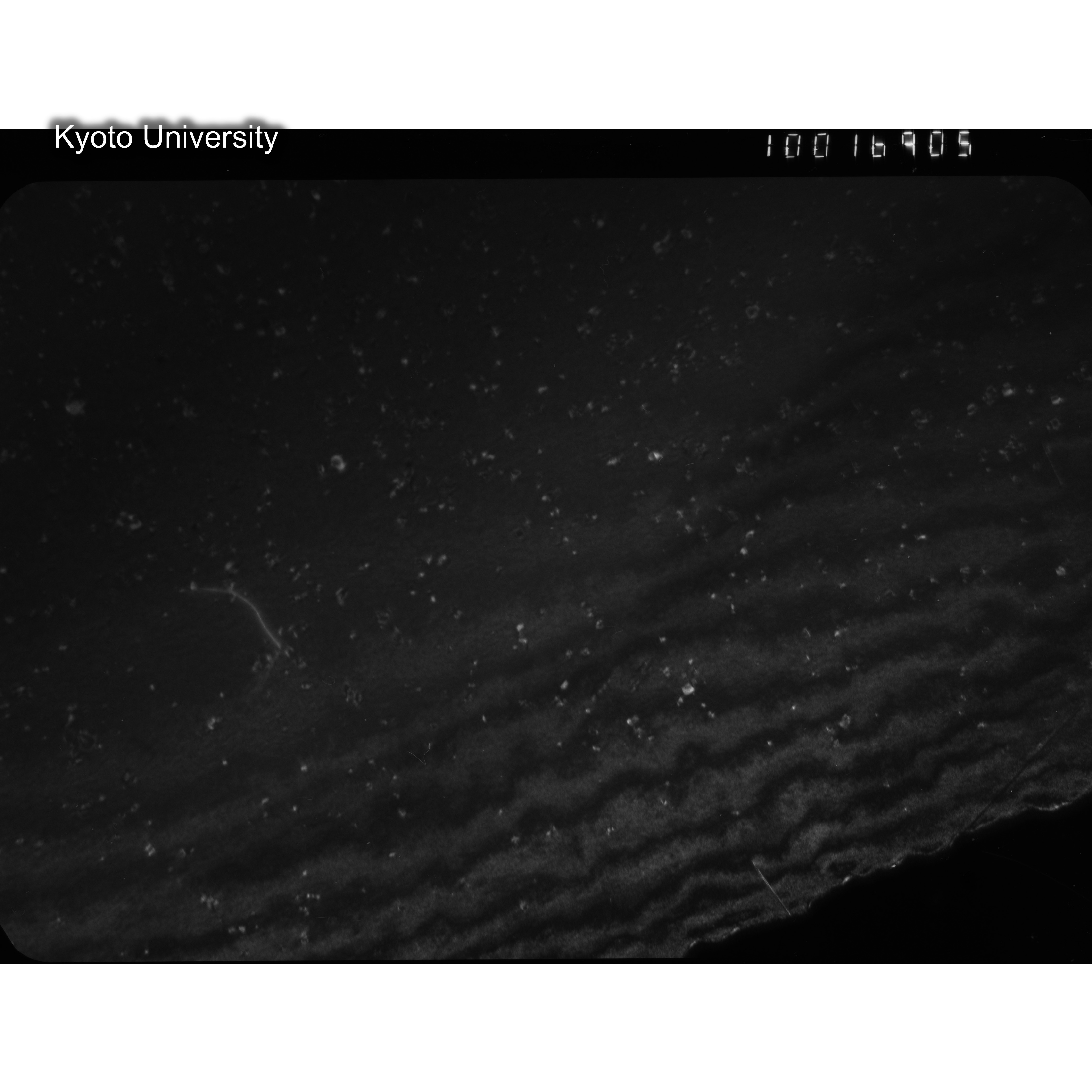 [ネガフィルム, Oシリーズ] O-16905. Au, G57 Kuramoto, RTNS-II, 150℃, SS. (2)