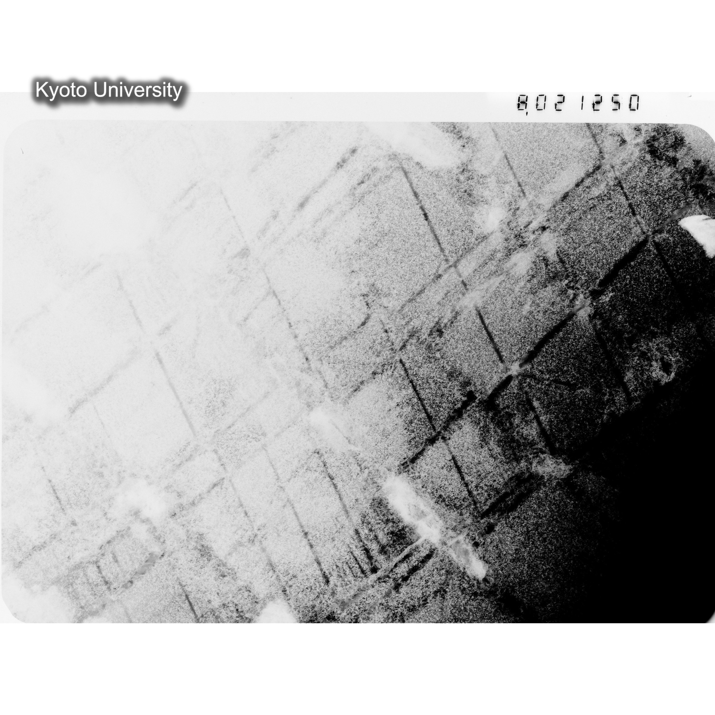 [ネガフィルム, Oシリーズ] O-21250. Au, G251, RTNS-II, 90℃, S. (1)