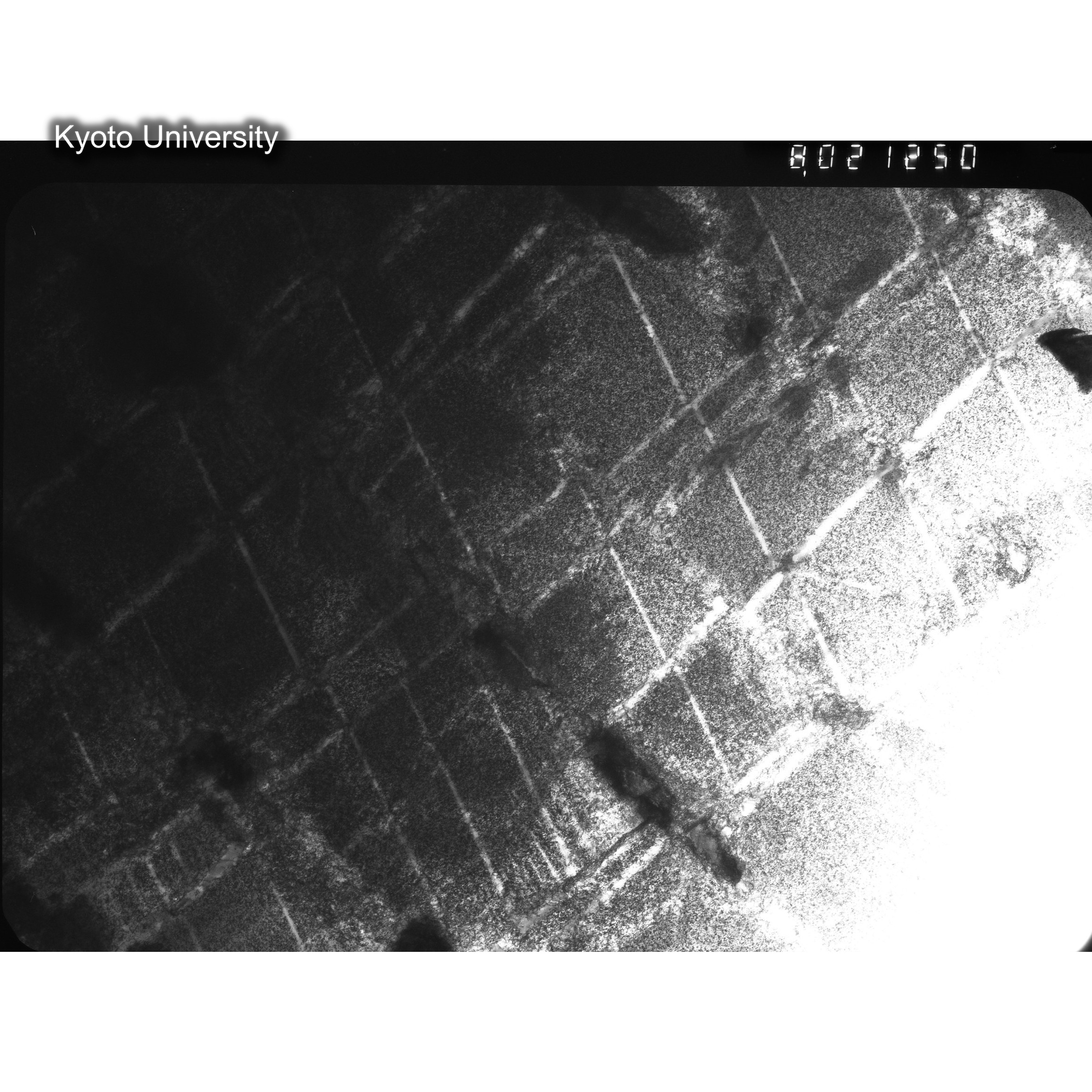 [ネガフィルム, Oシリーズ] O-21250. Au, G251, RTNS-II, 90℃, S. (2)