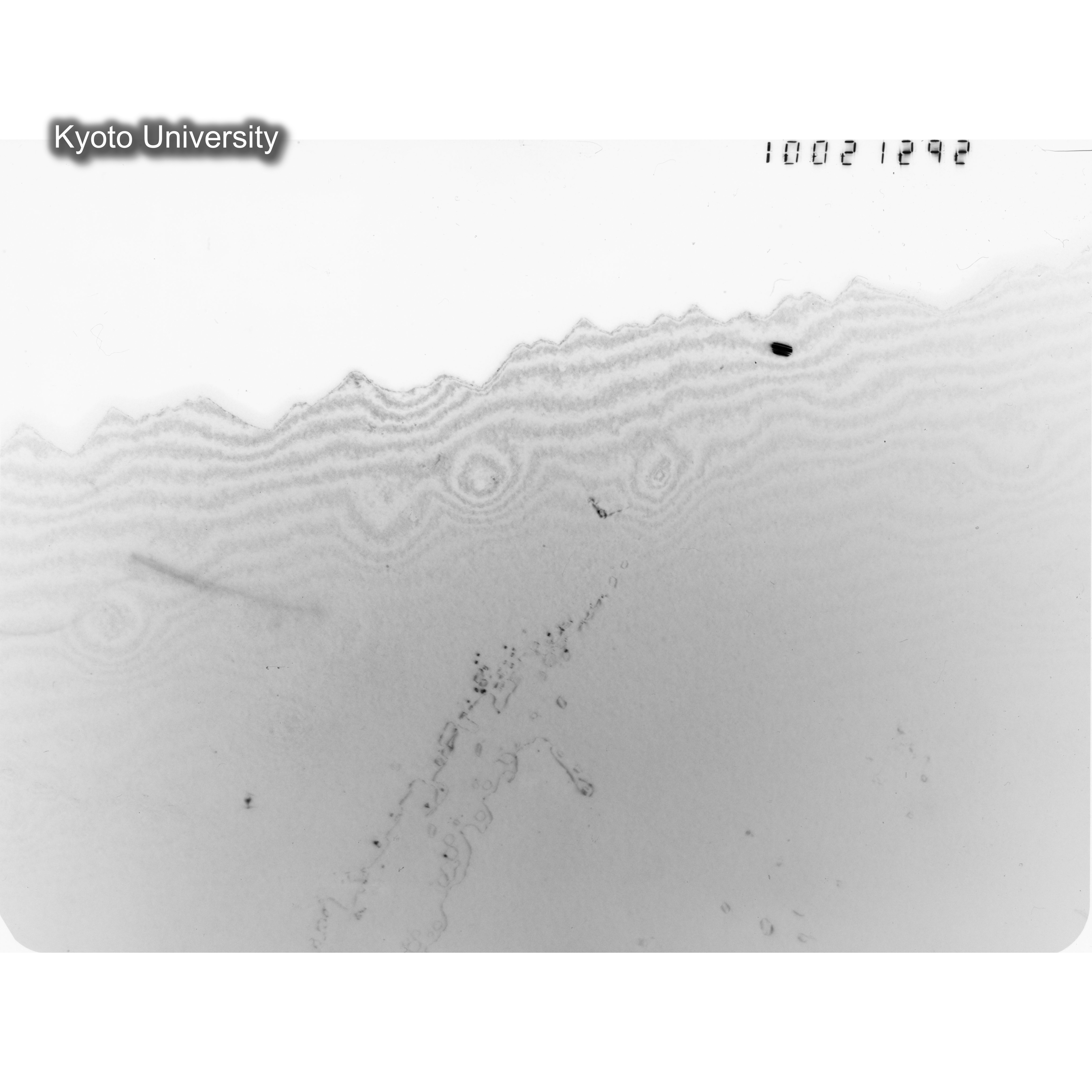 [ネガフィルム, Oシリーズ] O-21292. Ni, A116, RTNS-II, 290℃, M, DF, 100K. (1)