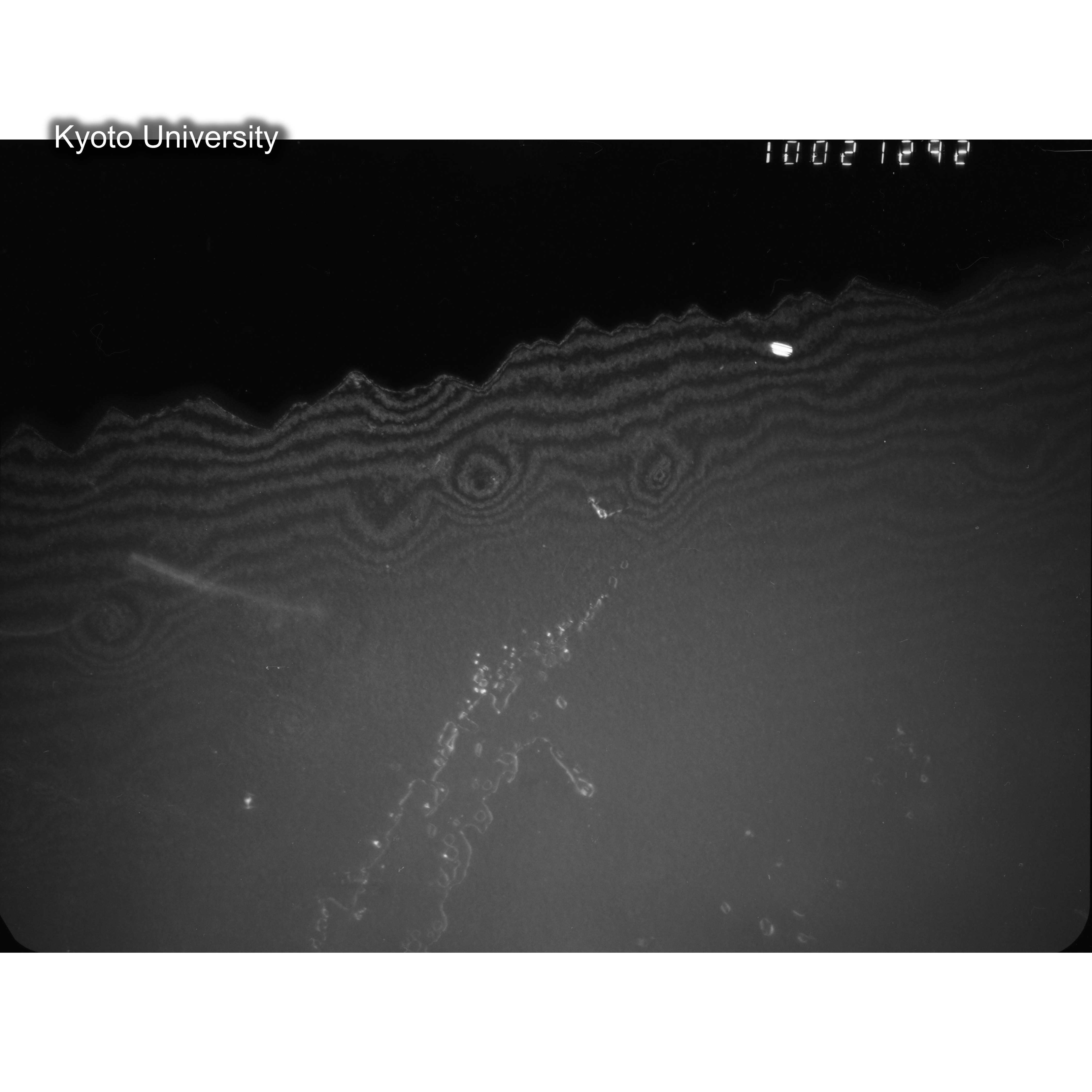 [ネガフィルム, Oシリーズ] O-21292. Ni, A116, RTNS-II, 290℃, M, DF, 100K. (2)