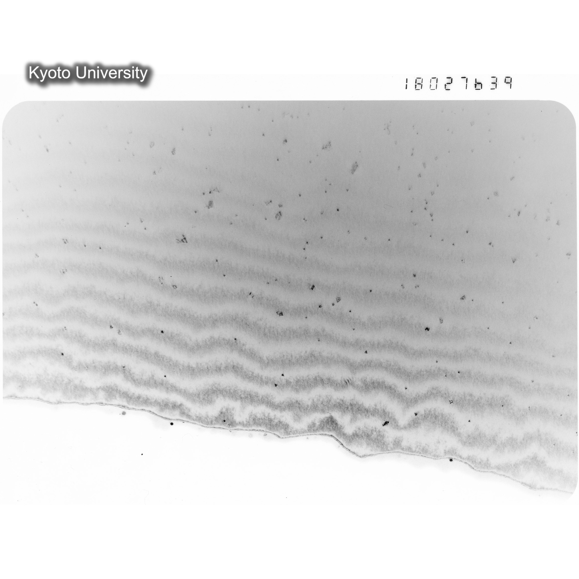 [ネガフィルム, Oシリーズ] O-27639. EM, 200℃, W, DF, 100K. (1)