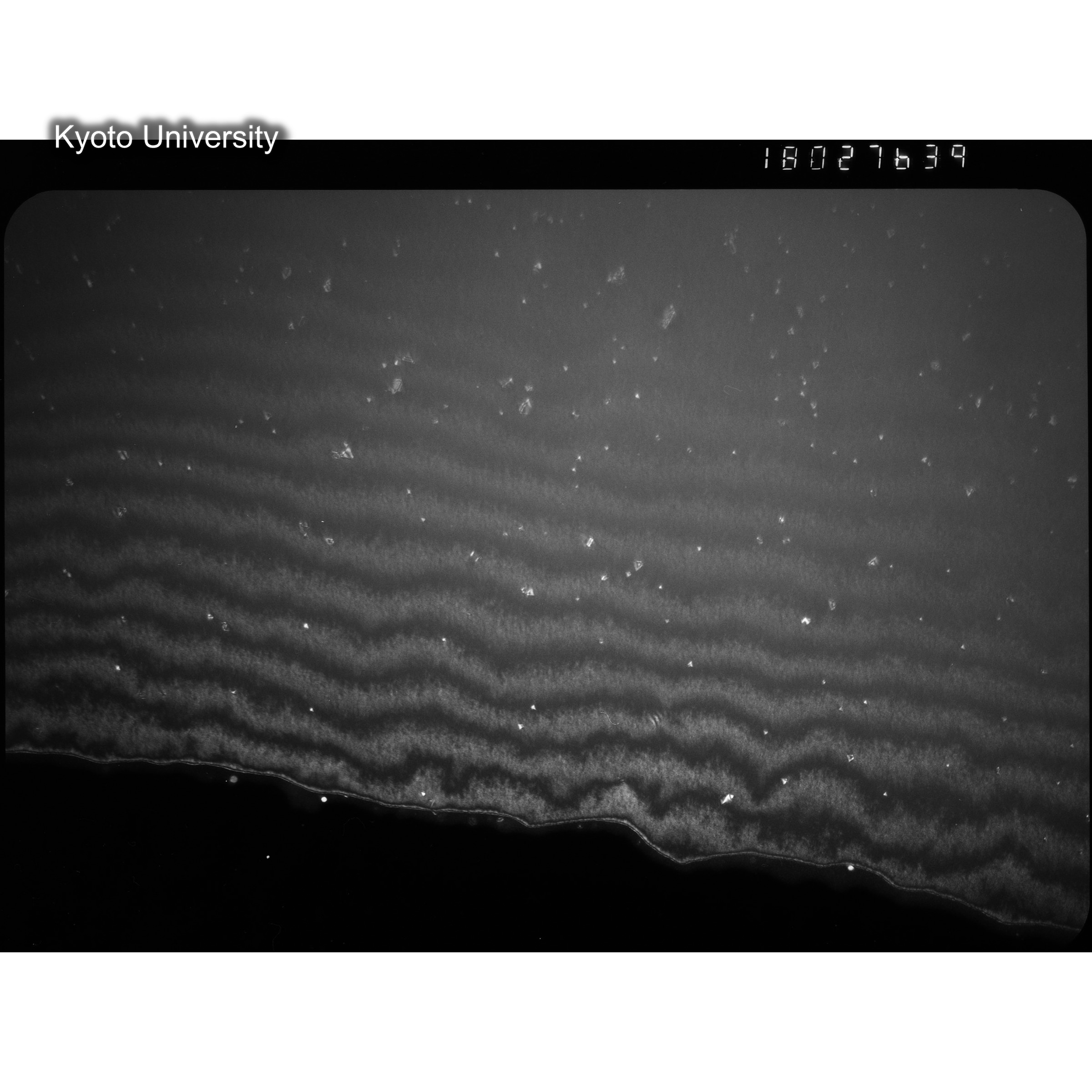 [ネガフィルム, Oシリーズ] O-27639. EM, 200℃, W, DF, 100K. (2)