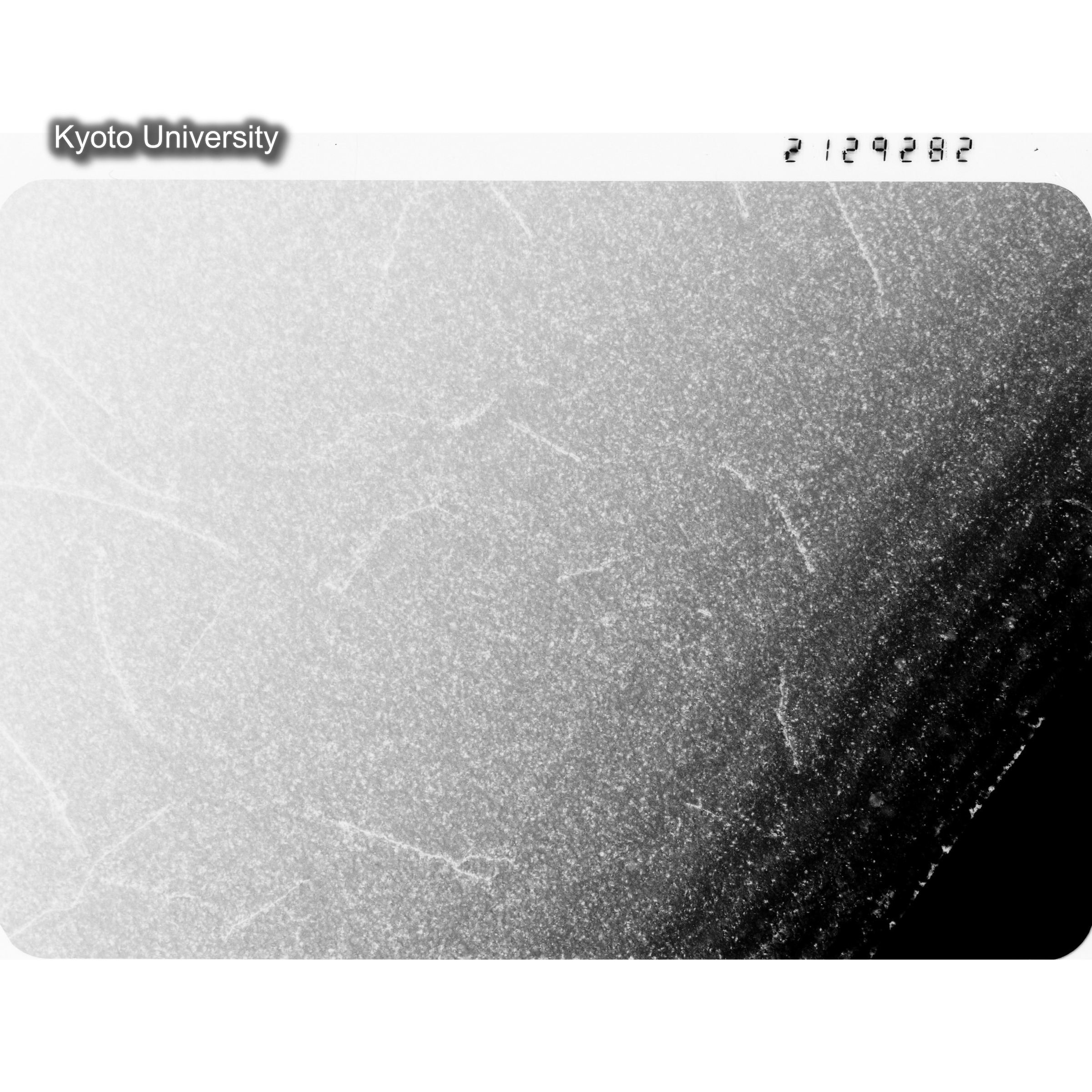 [ネガフィルム, Oシリーズ] O-29282. Cu-2Ni, G741, RTNS-II, 200℃, SS, BF, 21K. (1)