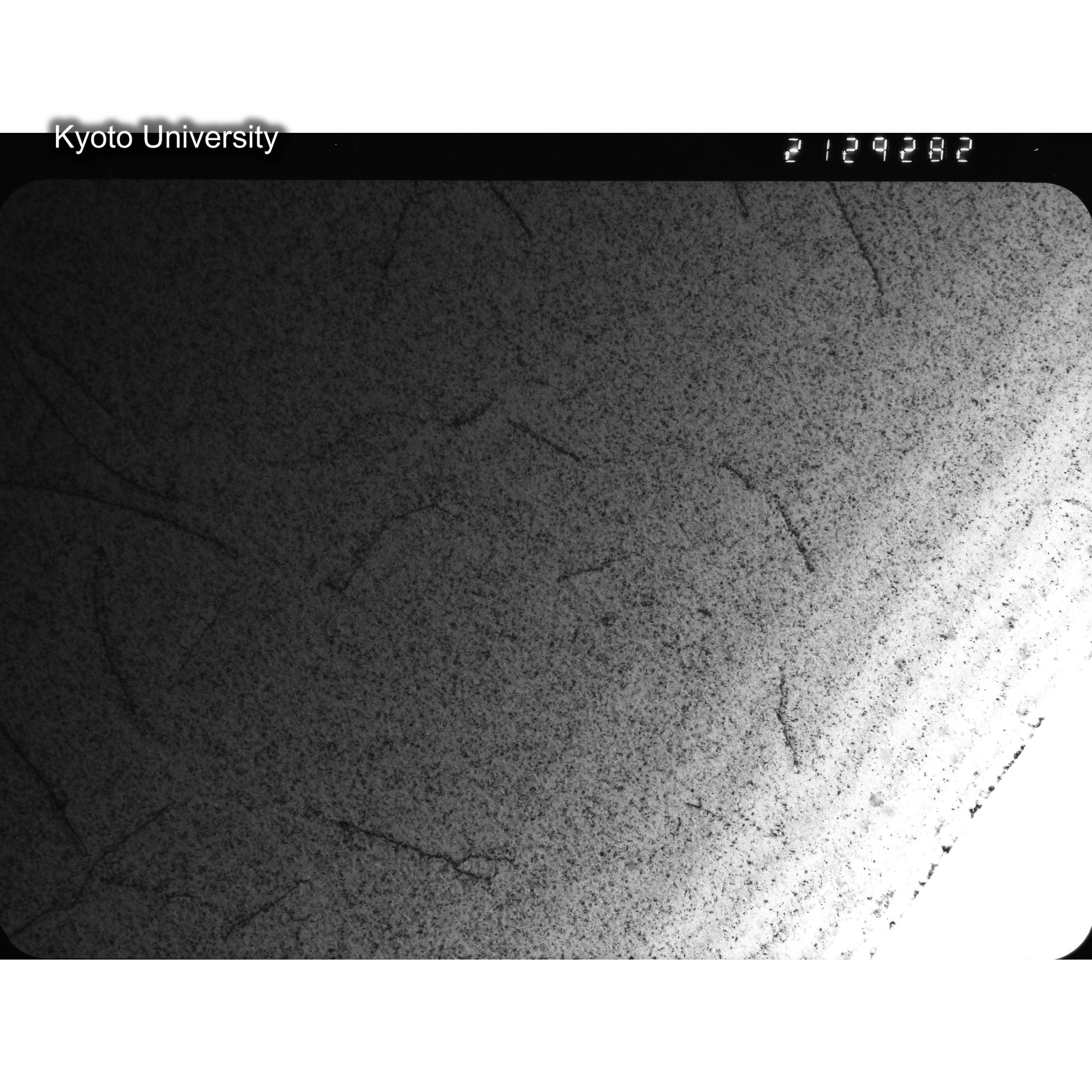 [ネガフィルム, Oシリーズ] O-29282. Cu-2Ni, G741, RTNS-II, 200℃, SS, BF, 21K. (2)