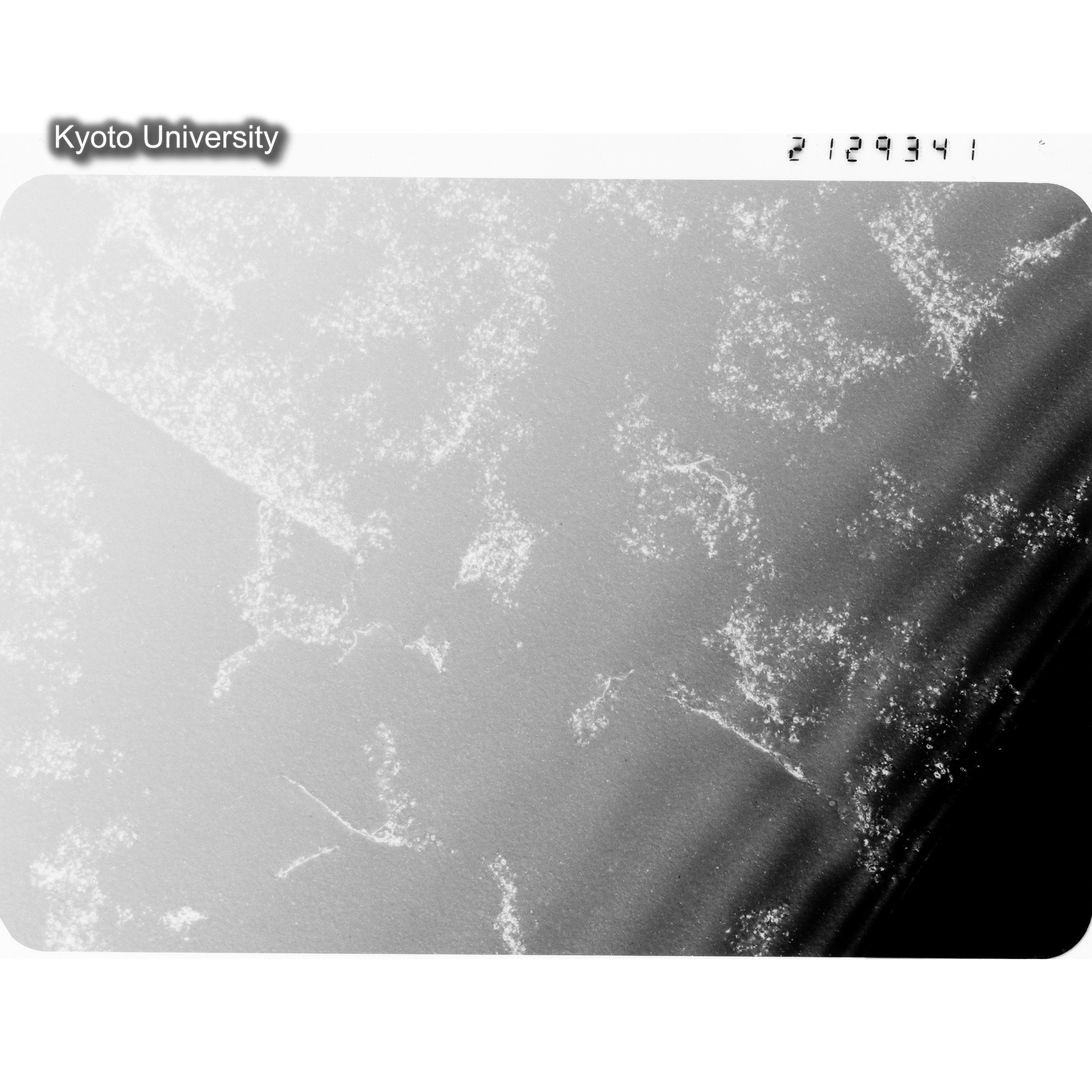 [ネガフィルム, Oシリーズ] O-29341. Cu-0.3Ge, G641, RTNS-II, 200℃, SS, BF, 21K. (1)