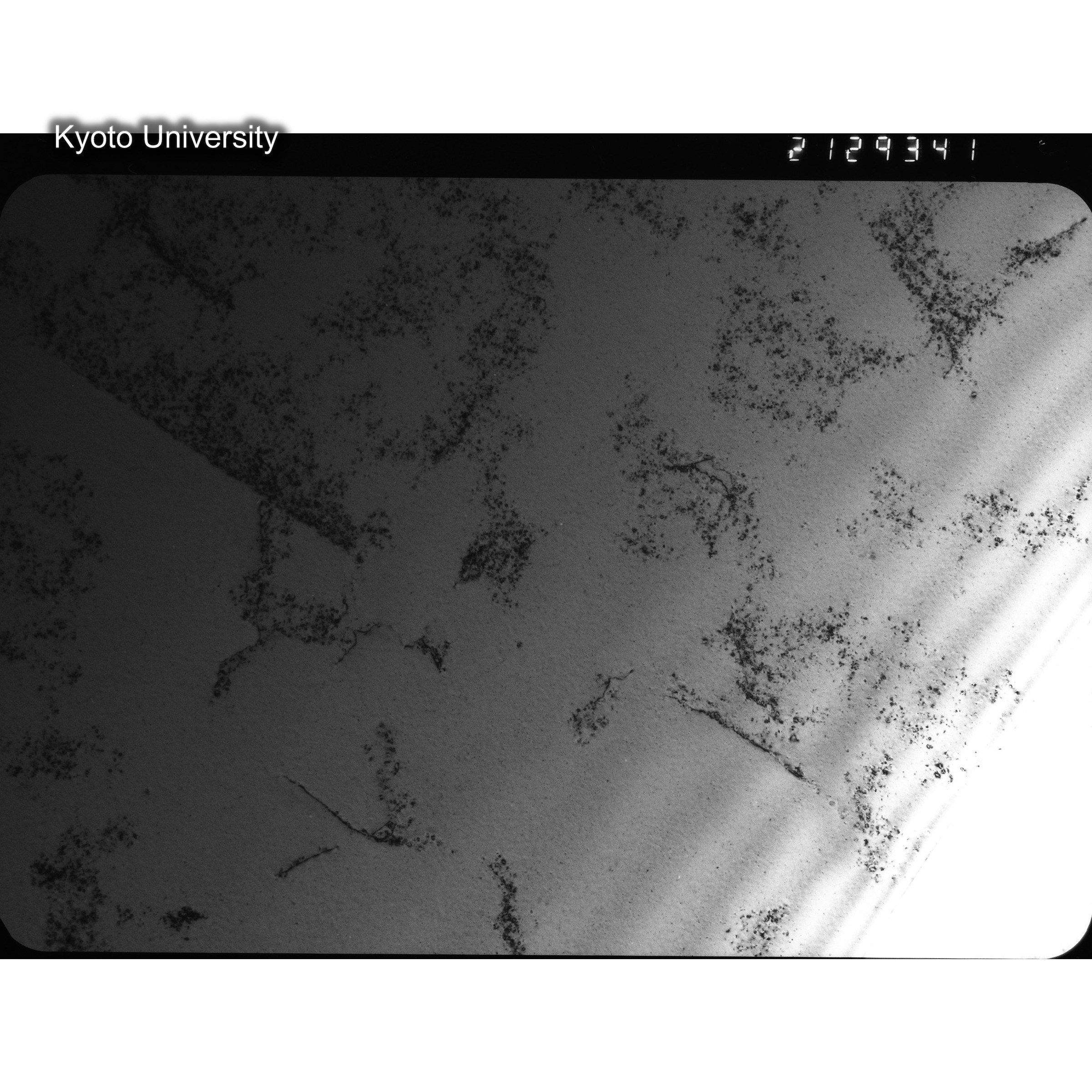 [ネガフィルム, Oシリーズ] O-29341. Cu-0.3Ge, G641, RTNS-II, 200℃, SS, BF, 21K. (2)