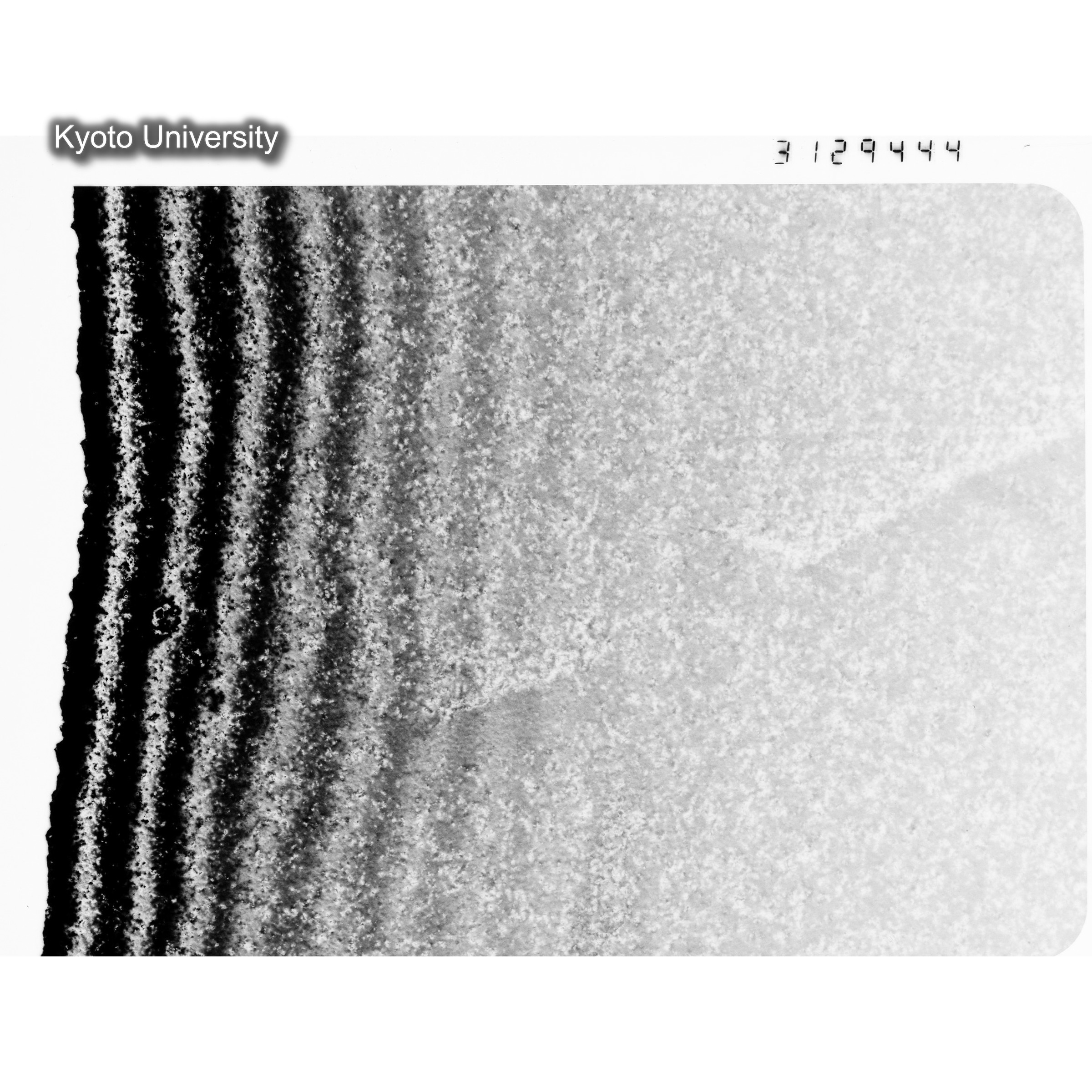 [ネガフィルム, Oシリーズ] O-29444. Ni, N312, JMTR, 200℃, DF, 31K. (1)