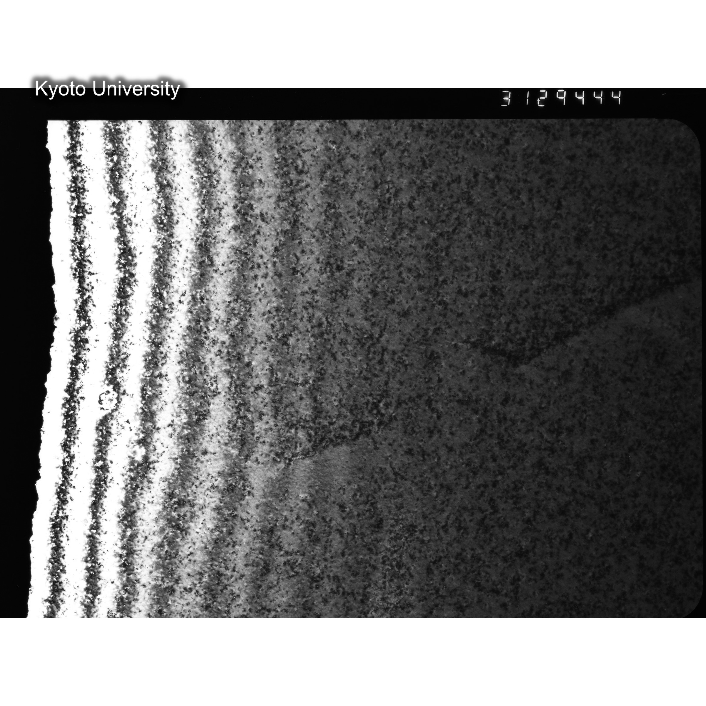 [ネガフィルム, Oシリーズ] O-29444. Ni, N312, JMTR, 200℃, DF, 31K. (2)