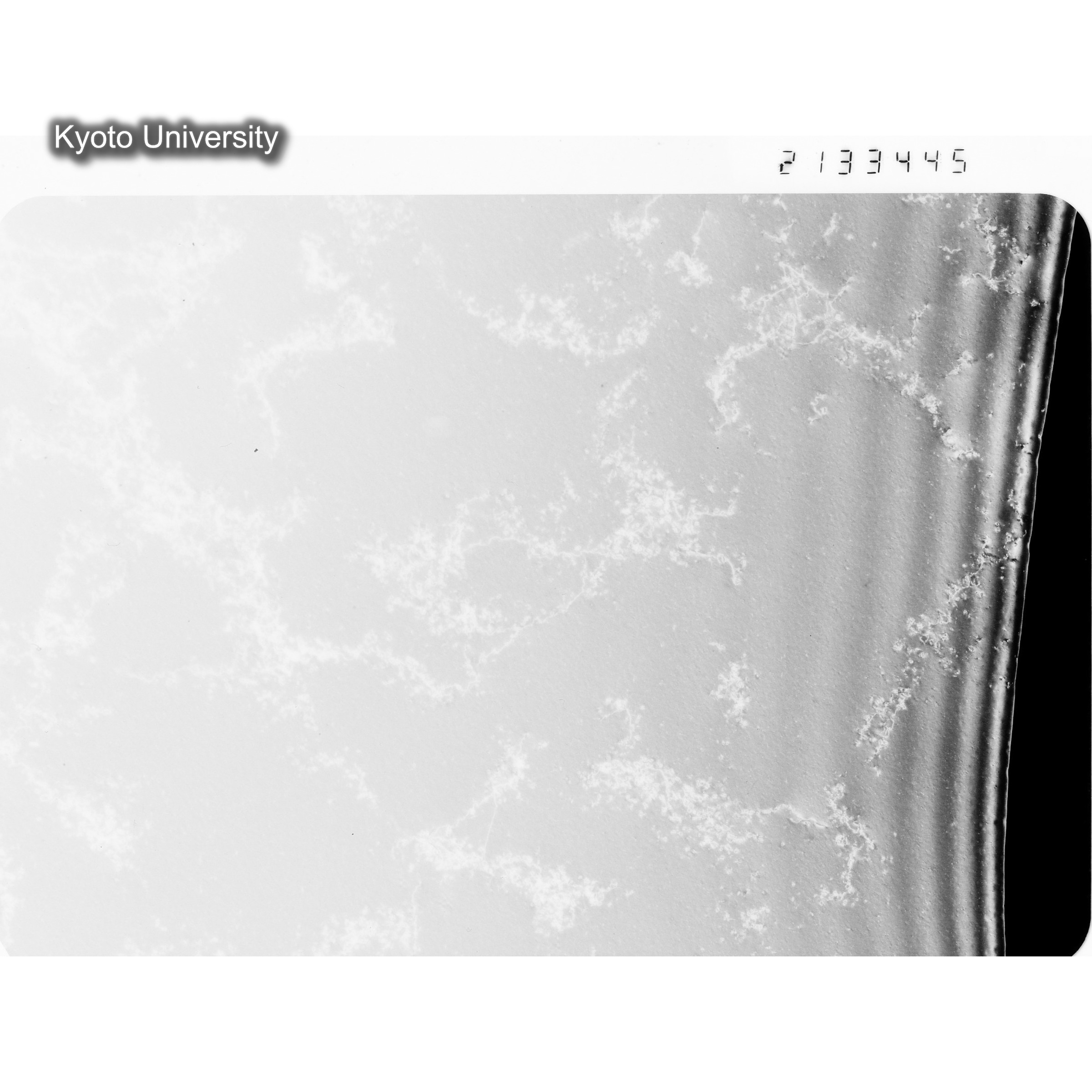 [ネガフィルム, Oシリーズ] O-33445. Cu, RTNS-II, 200℃, SS, DF, 52K. (1)