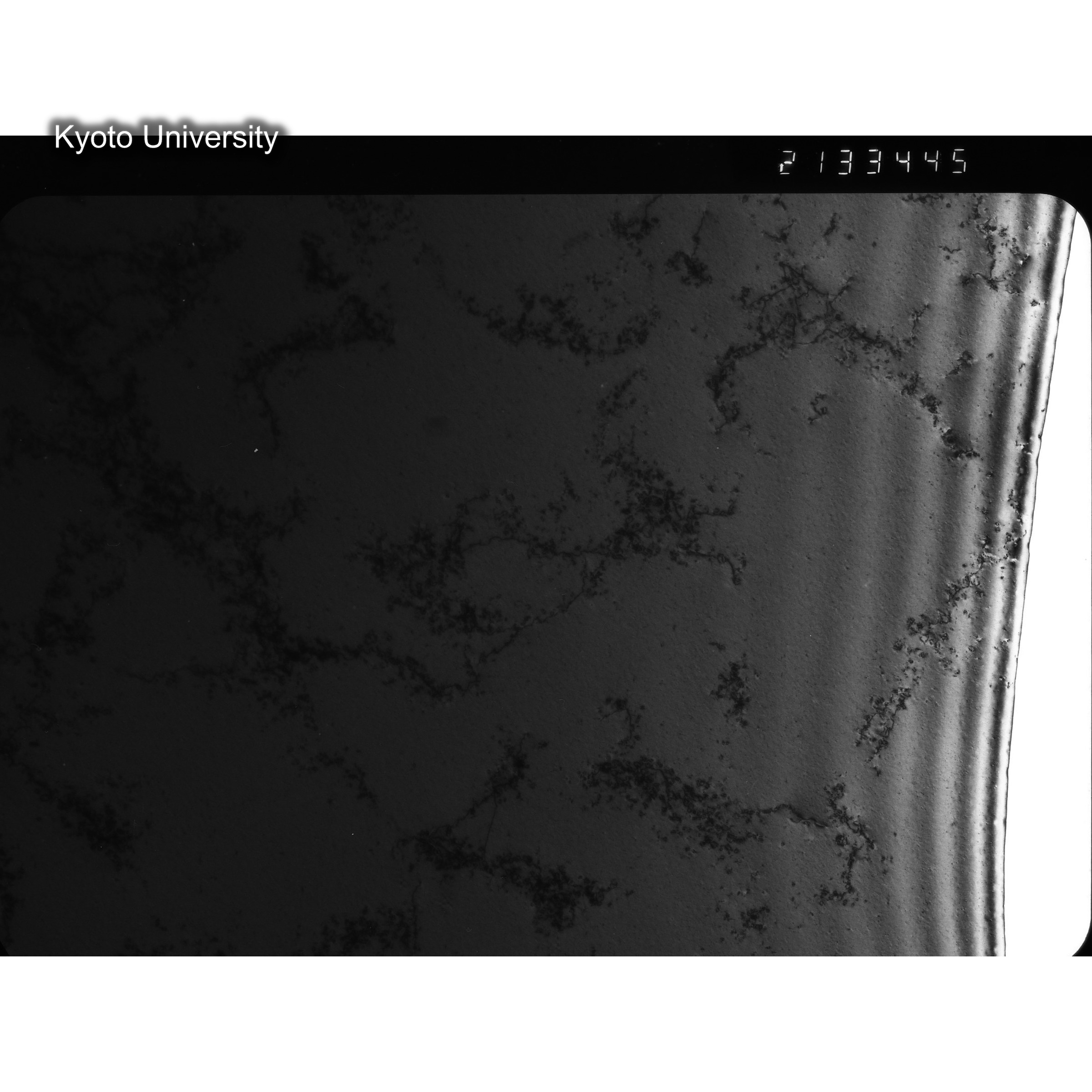 [ネガフィルム, Oシリーズ] O-33445. Cu, RTNS-II, 200℃, SS, DF, 52K. (2)