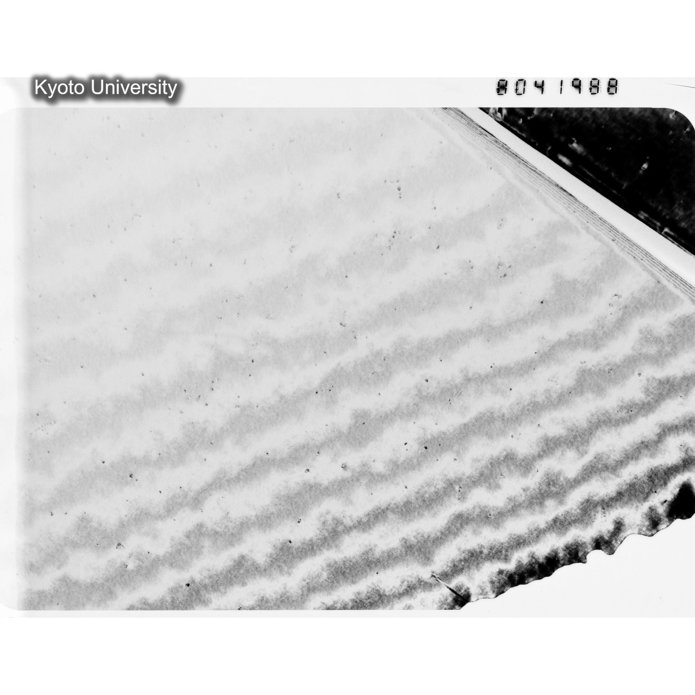 [ネガフィルム, Oシリーズ] O-41988. Au, G017　Hin, RTNS-II, 90℃, WW. (1)