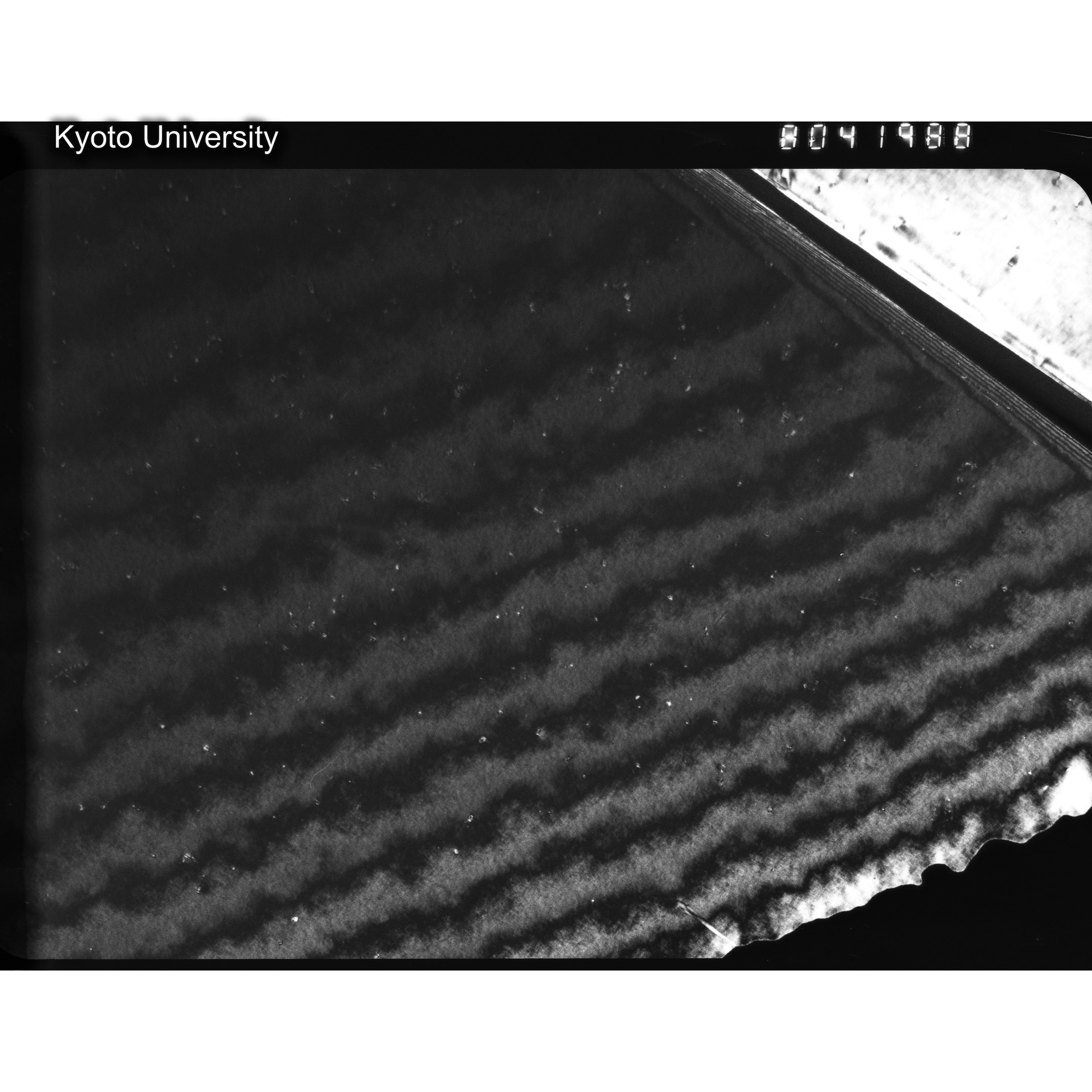 [ネガフィルム, Oシリーズ] O-41988. Au, G017　Hin, RTNS-II, 90℃, WW. (2)