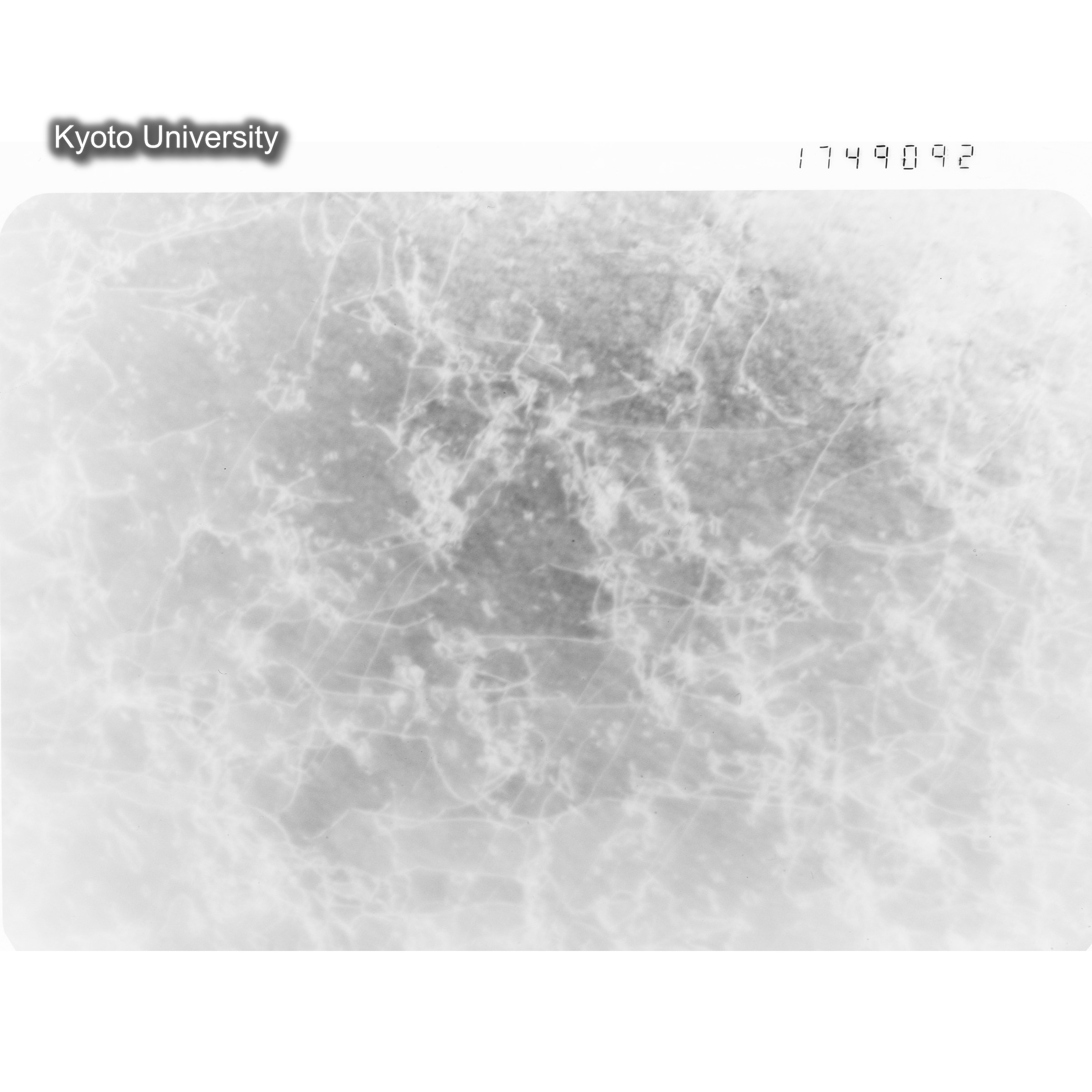 [ネガフィルム, Oシリーズ] O-49092. ？, JMTR, 200℃, 10000000000000000000, BF, 17K. (1)