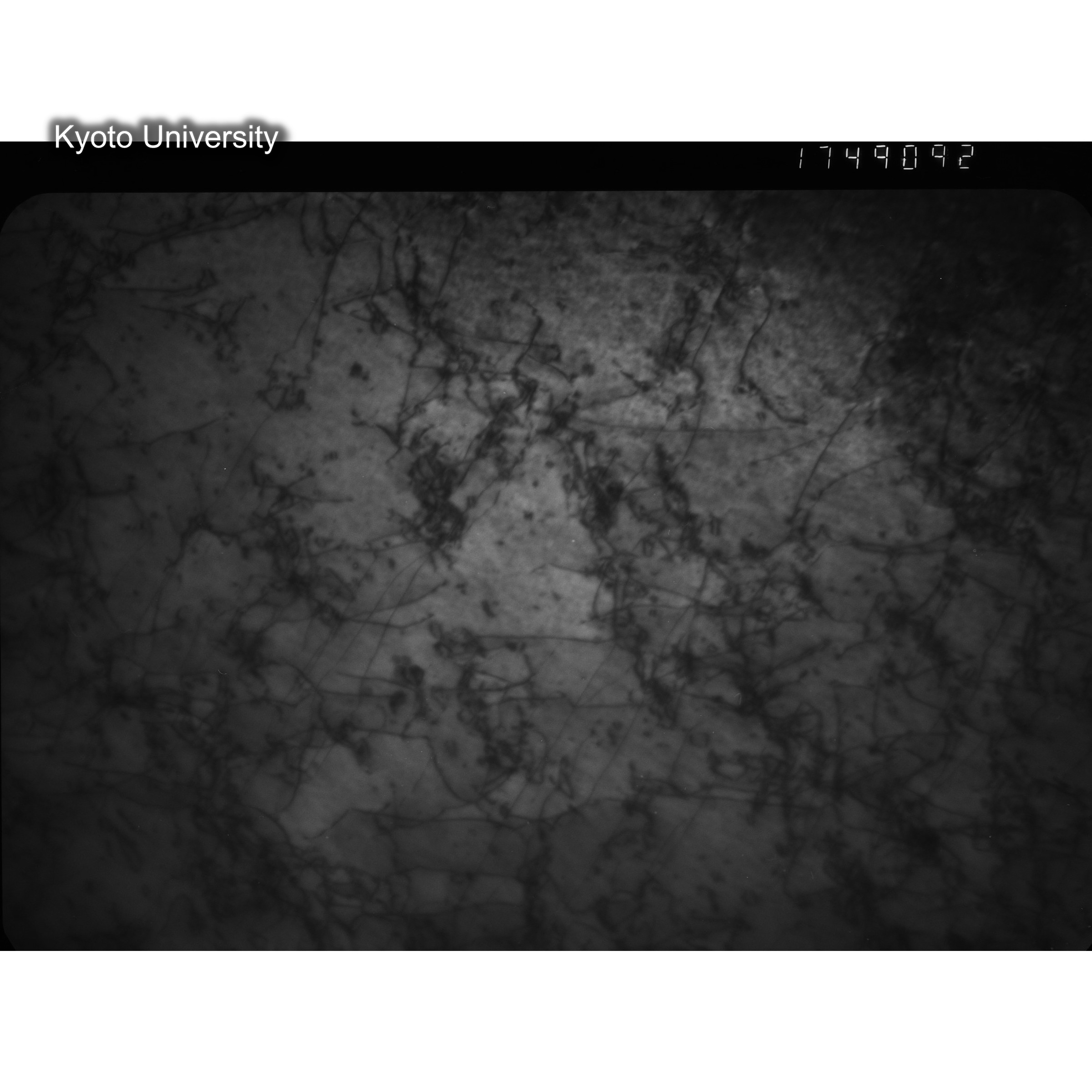 [ネガフィルム, Oシリーズ] O-49092. ？, JMTR, 200℃, 10000000000000000000, BF, 17K. (2)