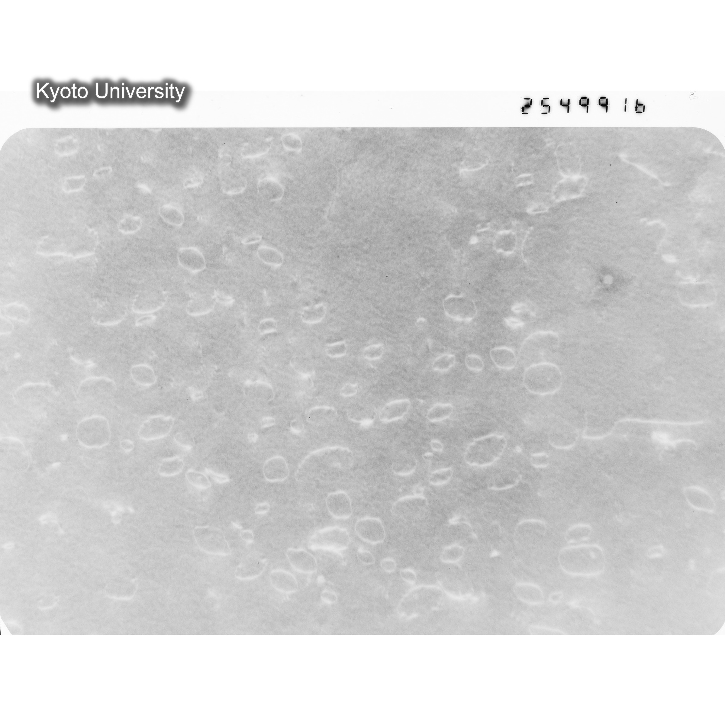 [ネガフィルム, Oシリーズ] O-49916. Fe, JOYO, 400℃, 1E+21, BF, 25K. (1)