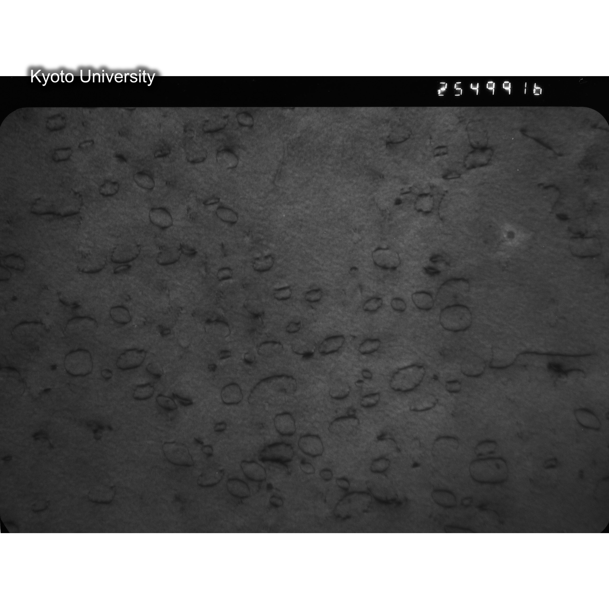 [ネガフィルム, Oシリーズ] O-49916. Fe, JOYO, 400℃, 1E+21, BF, 25K. (2)